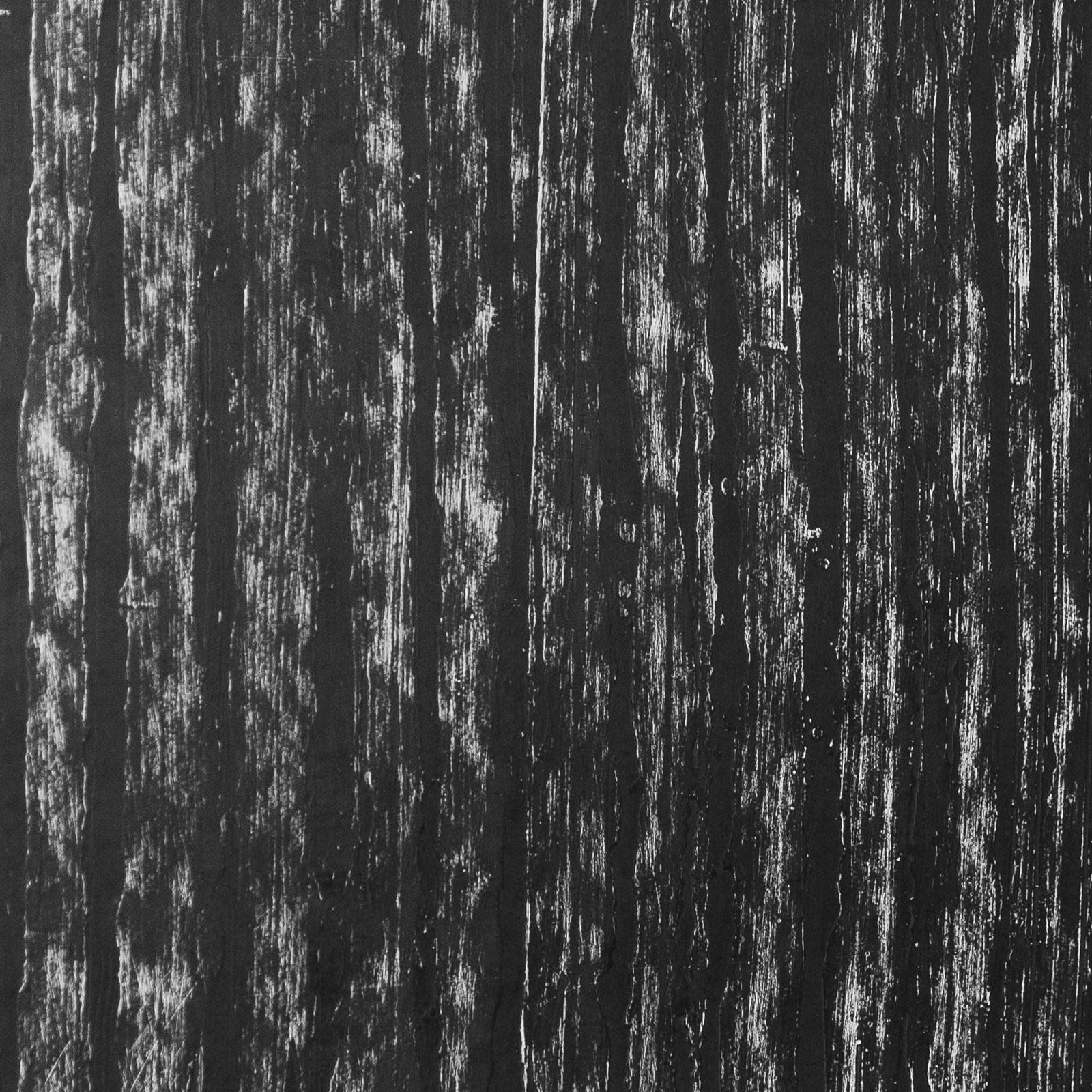 Monochrome - HD Wallpaper 