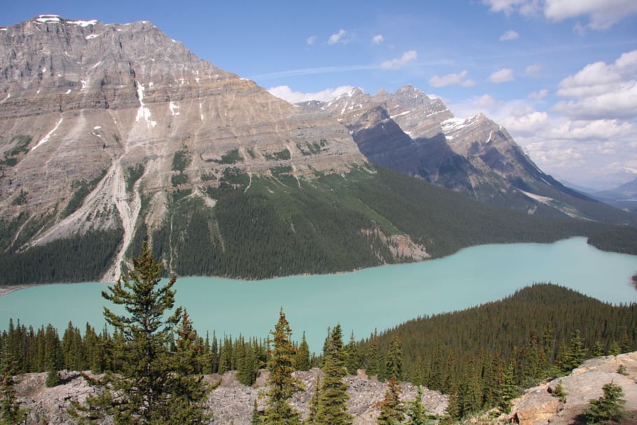 Jasper, Canada, Alberta, Lake, Mountains, Beauty In - Peyto Lake - HD Wallpaper 
