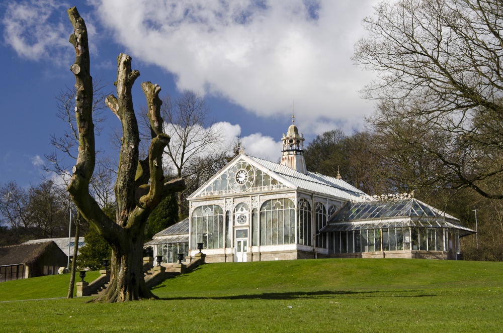 Corporation Park Conservatory - Mansion - HD Wallpaper 