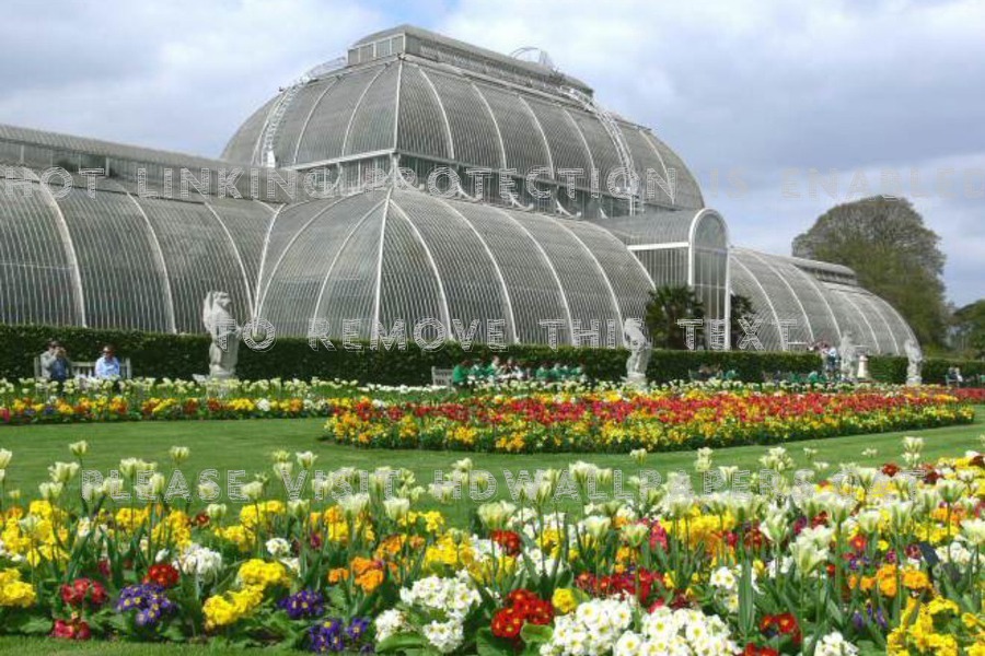 Botanical Garden Conservatory London - Kew Gardens - HD Wallpaper 