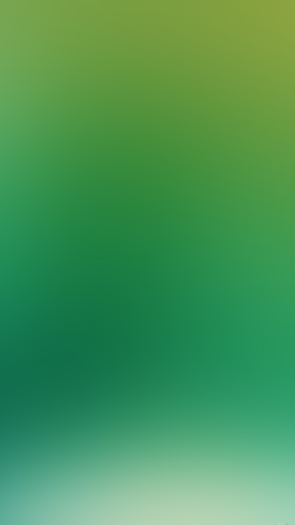 Green Gradation - HD Wallpaper 