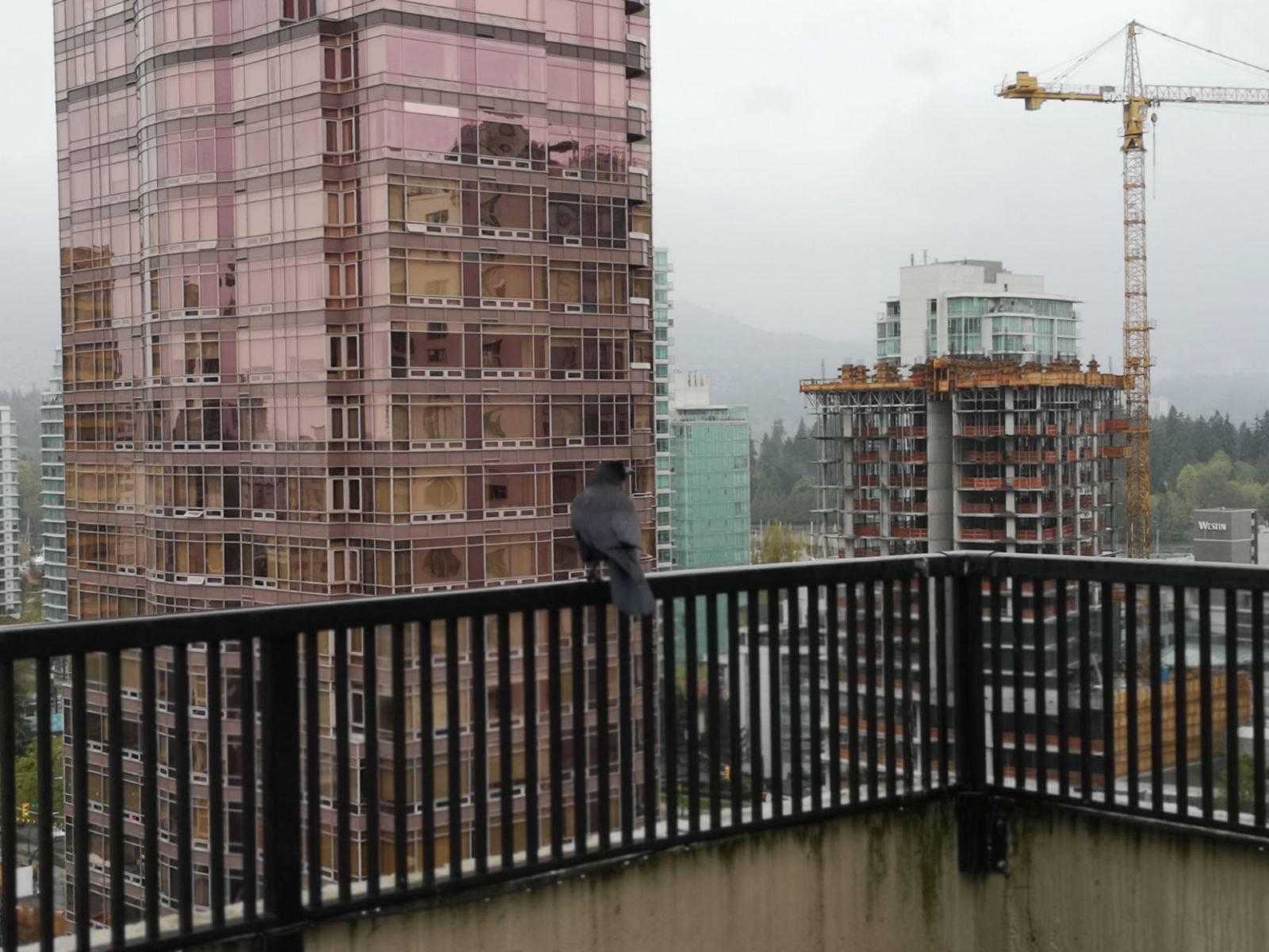 Tower Block - HD Wallpaper 