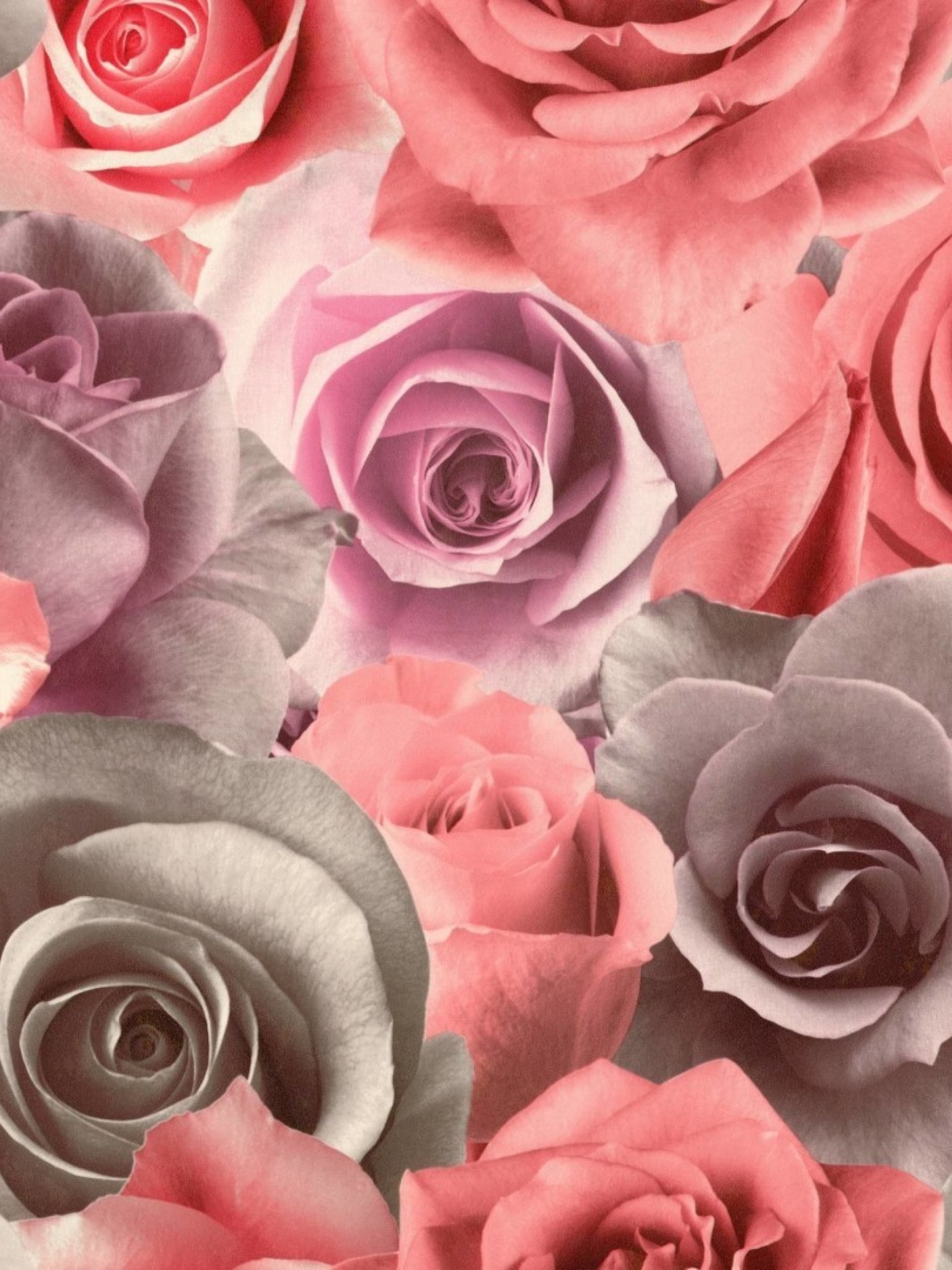 Обои Палитра 715 22 - HD Wallpaper 