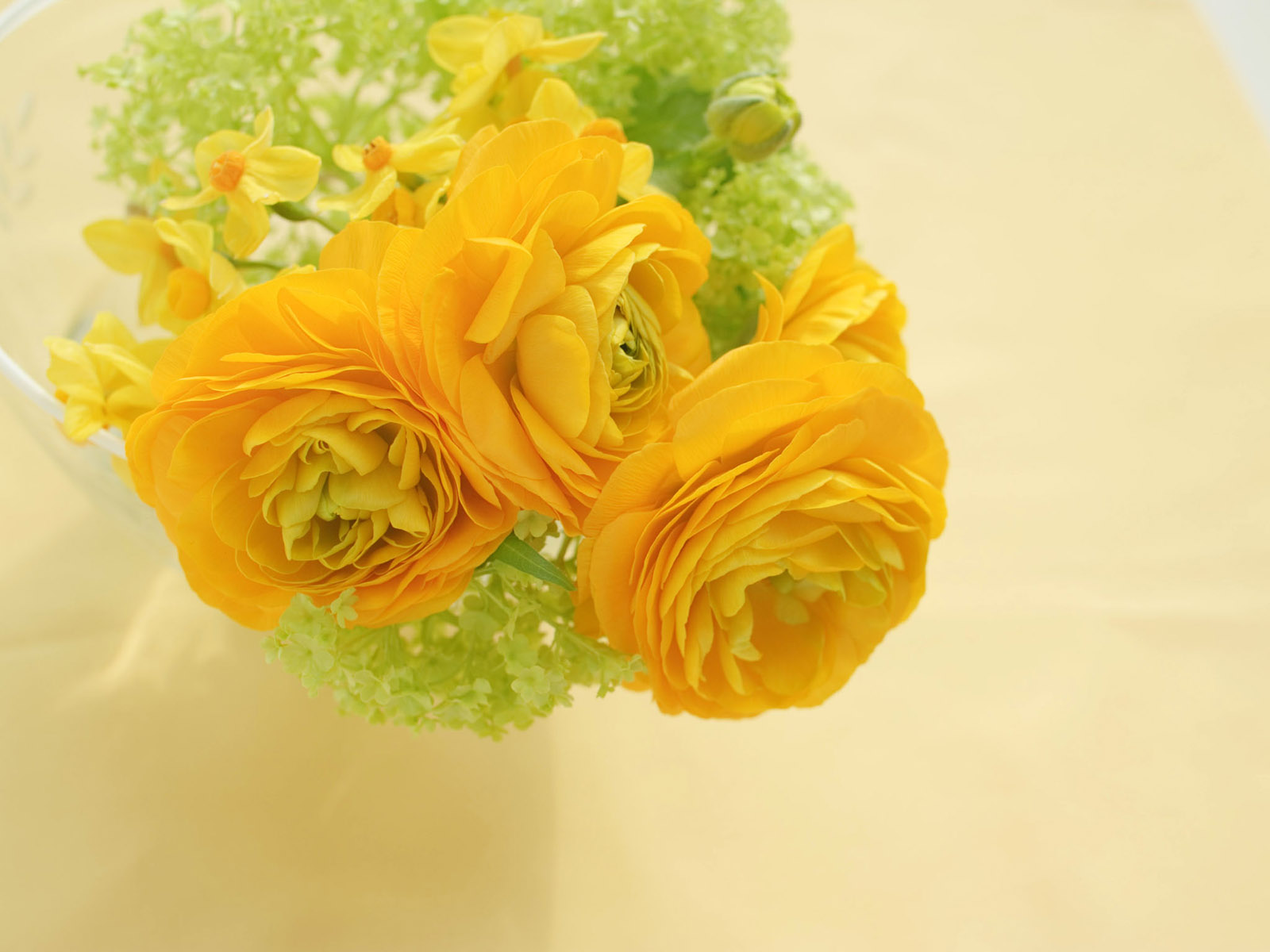 Beautiful Roses Wallpapers Yellow Roses - HD Wallpaper 