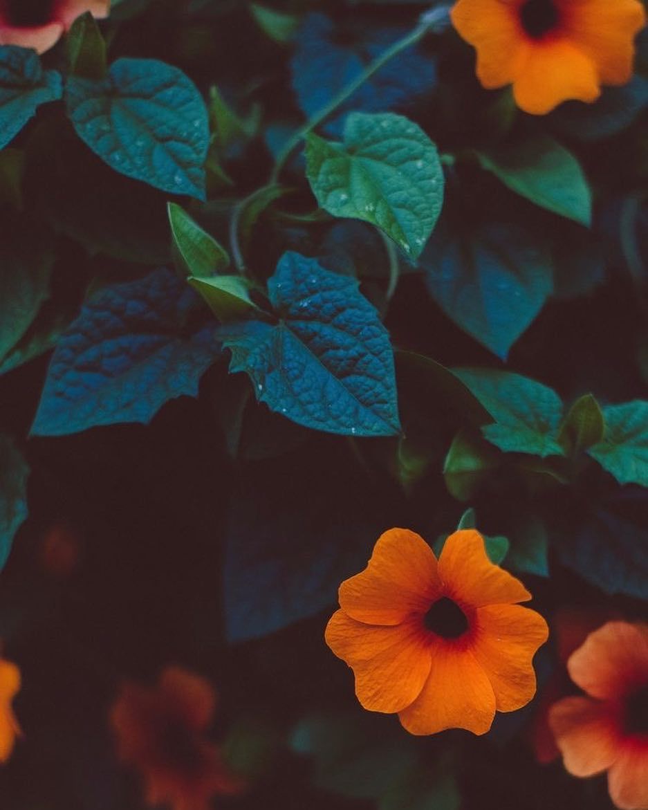 Walpaper Iphone - HD Wallpaper 