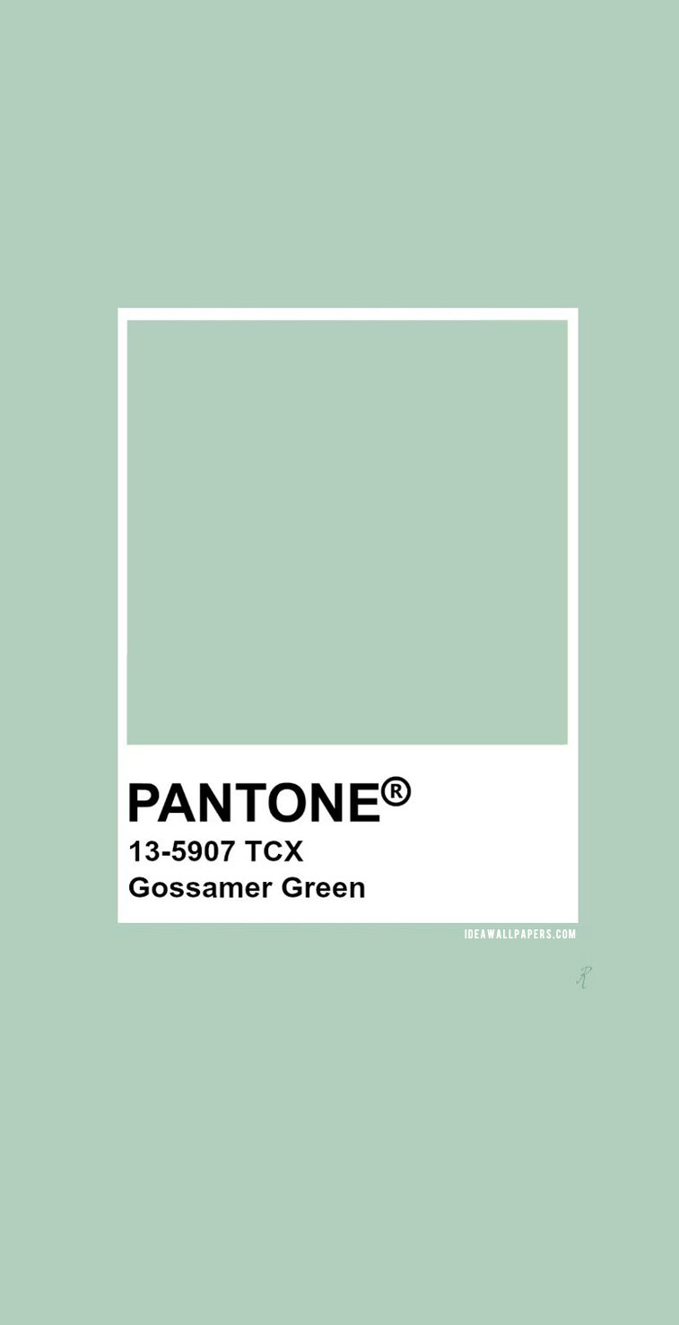 Pantone Gossamer Green - Pantone Misty Jade 13 6008 - HD Wallpaper 