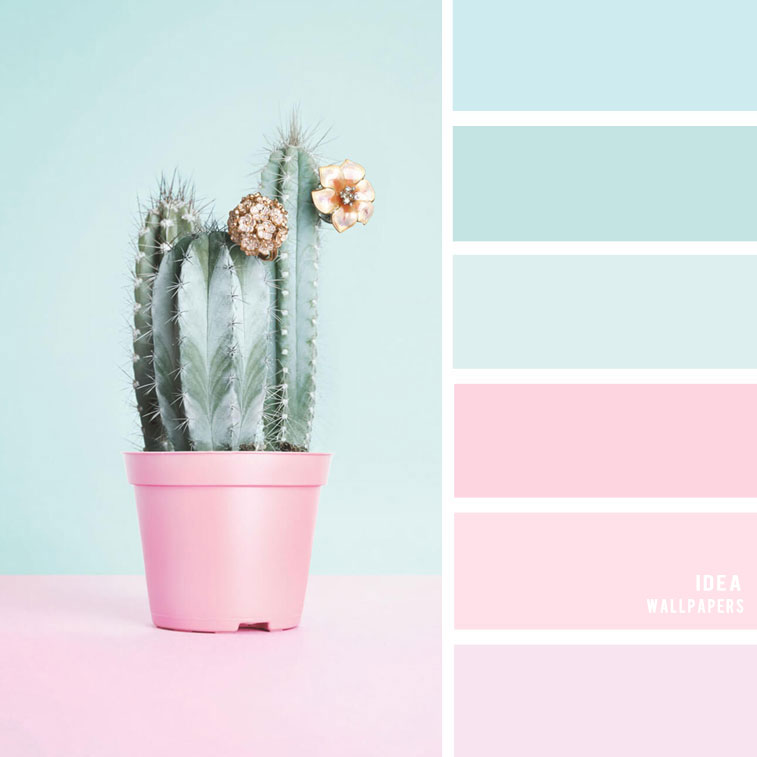 Mint And Pink Color Scheme - HD Wallpaper 