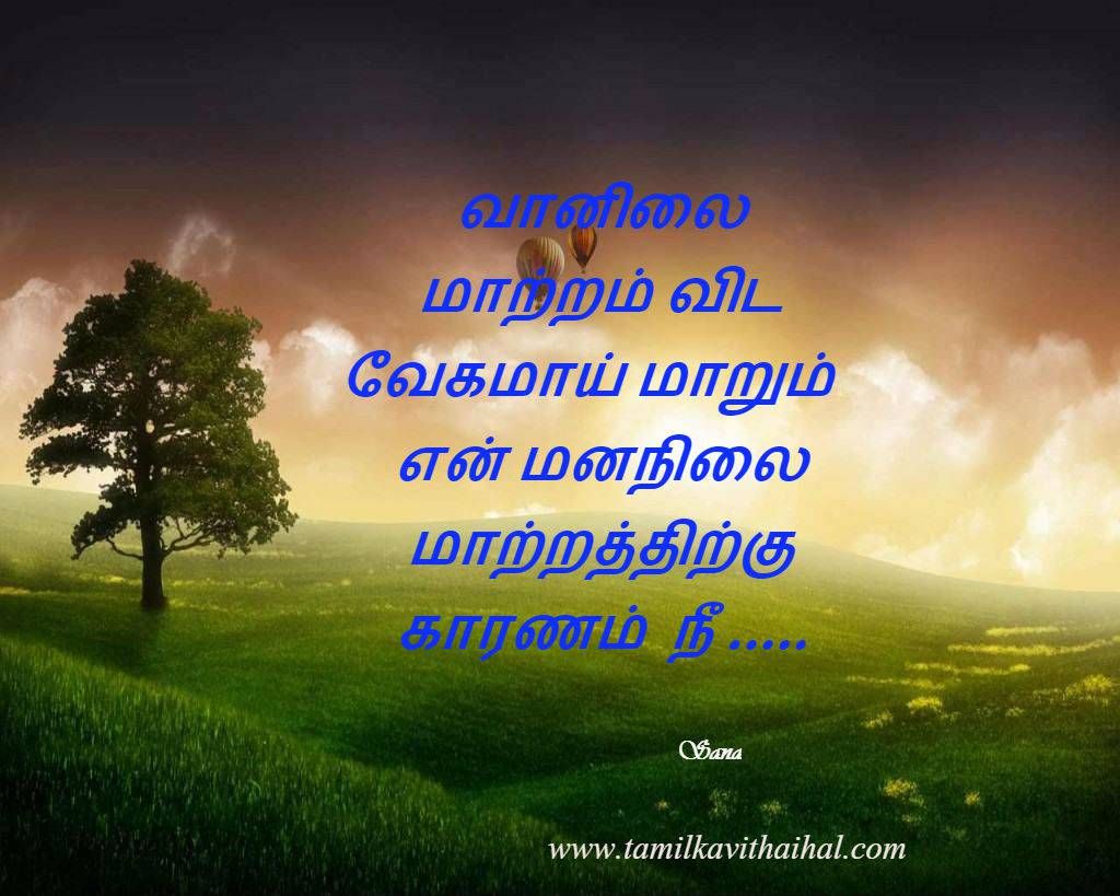 Desktop Backgrounds - HD Wallpaper 