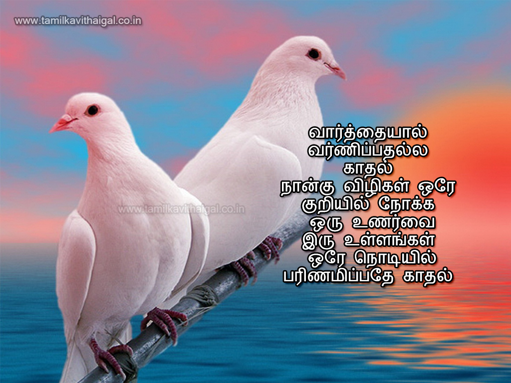 Good Morning Good Health - HD Wallpaper 