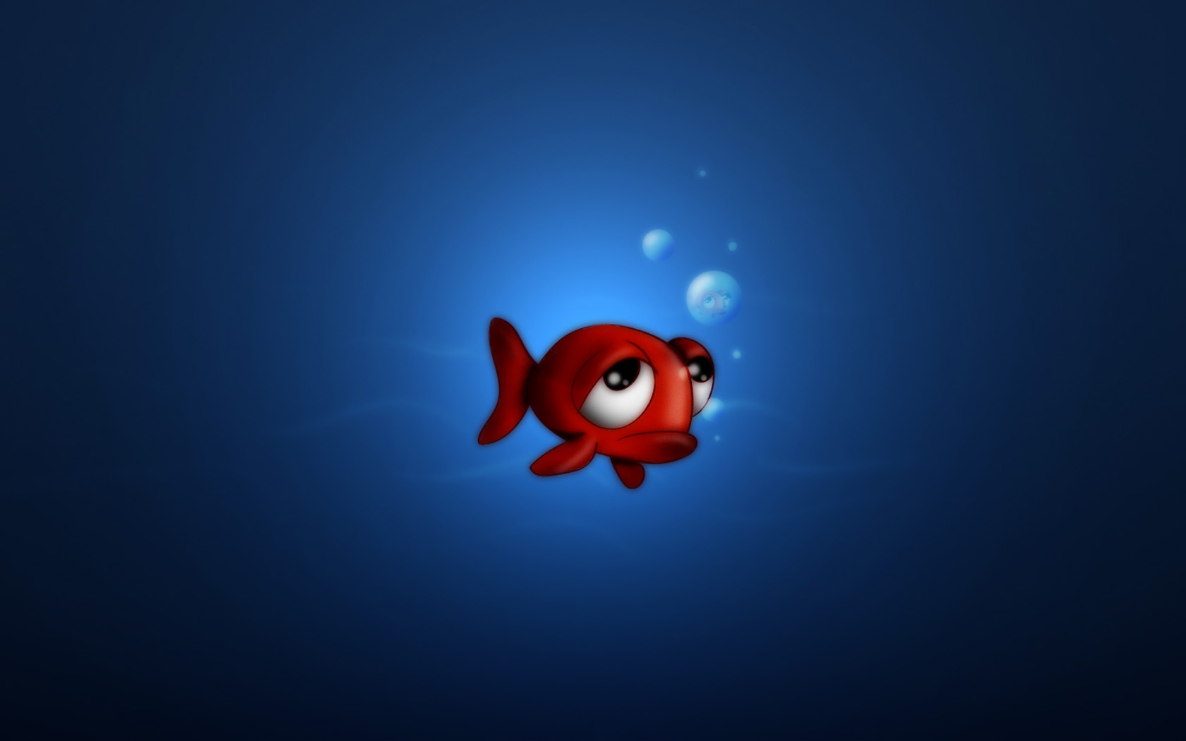 Goldfish - HD Wallpaper 