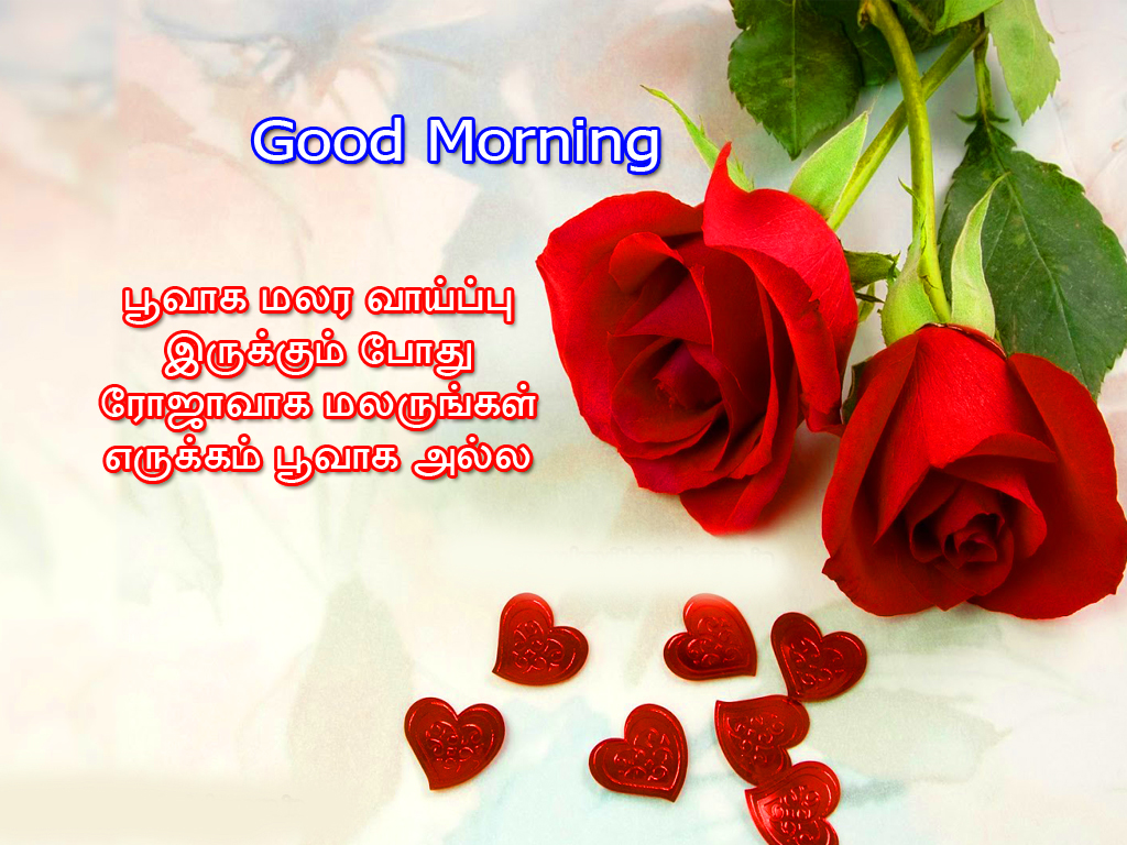 Kavithai In Tamil Good Morning New 1024x768 Wallpaper Teahub Io