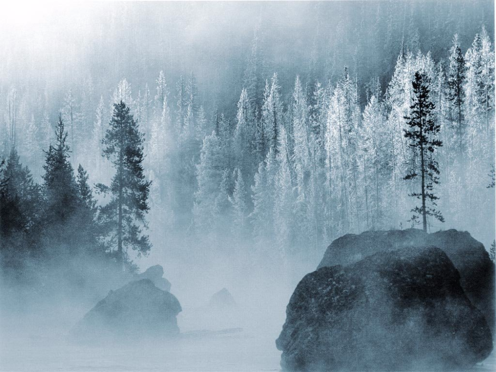 Imágenes Ninja Girls Anime - HD Wallpaper 