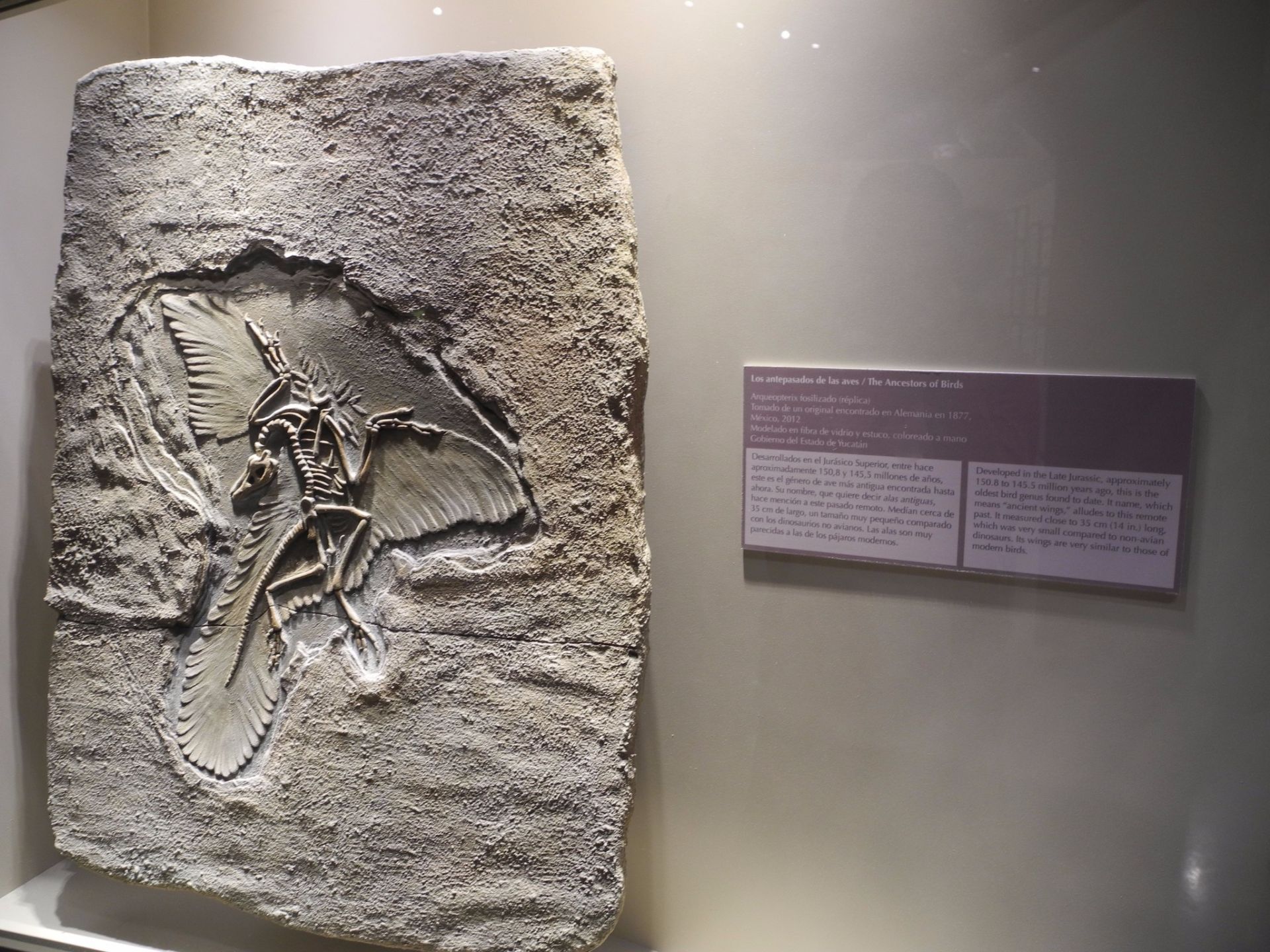 Museum - HD Wallpaper 