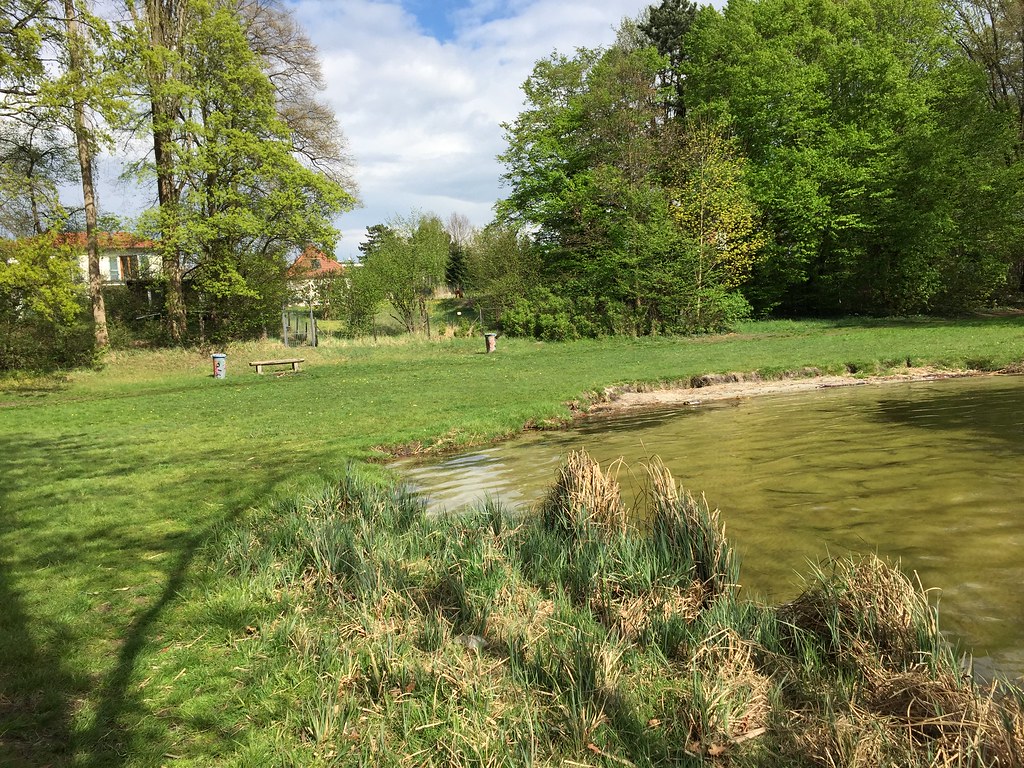 Larch - HD Wallpaper 