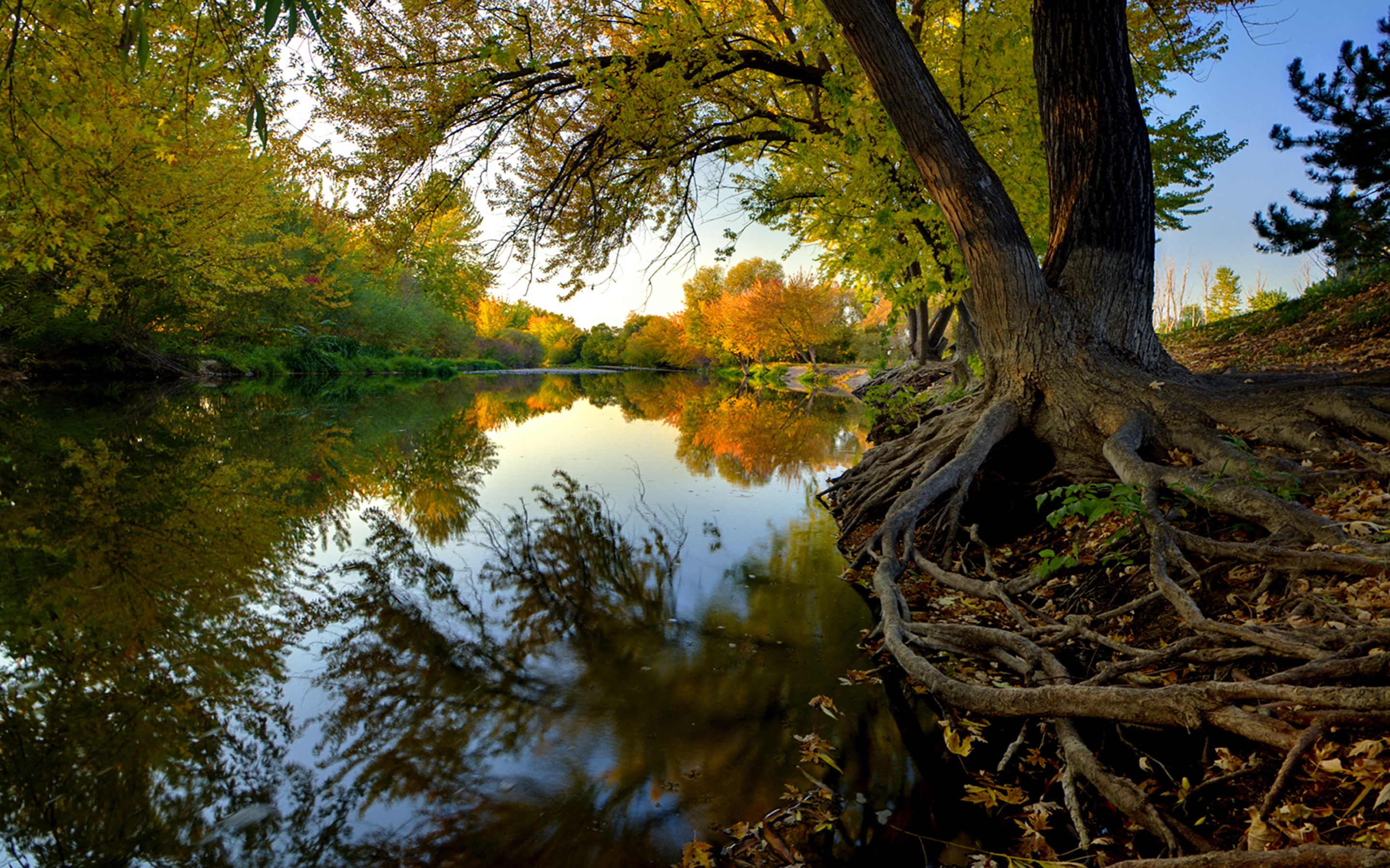 Boise River Fall - HD Wallpaper 