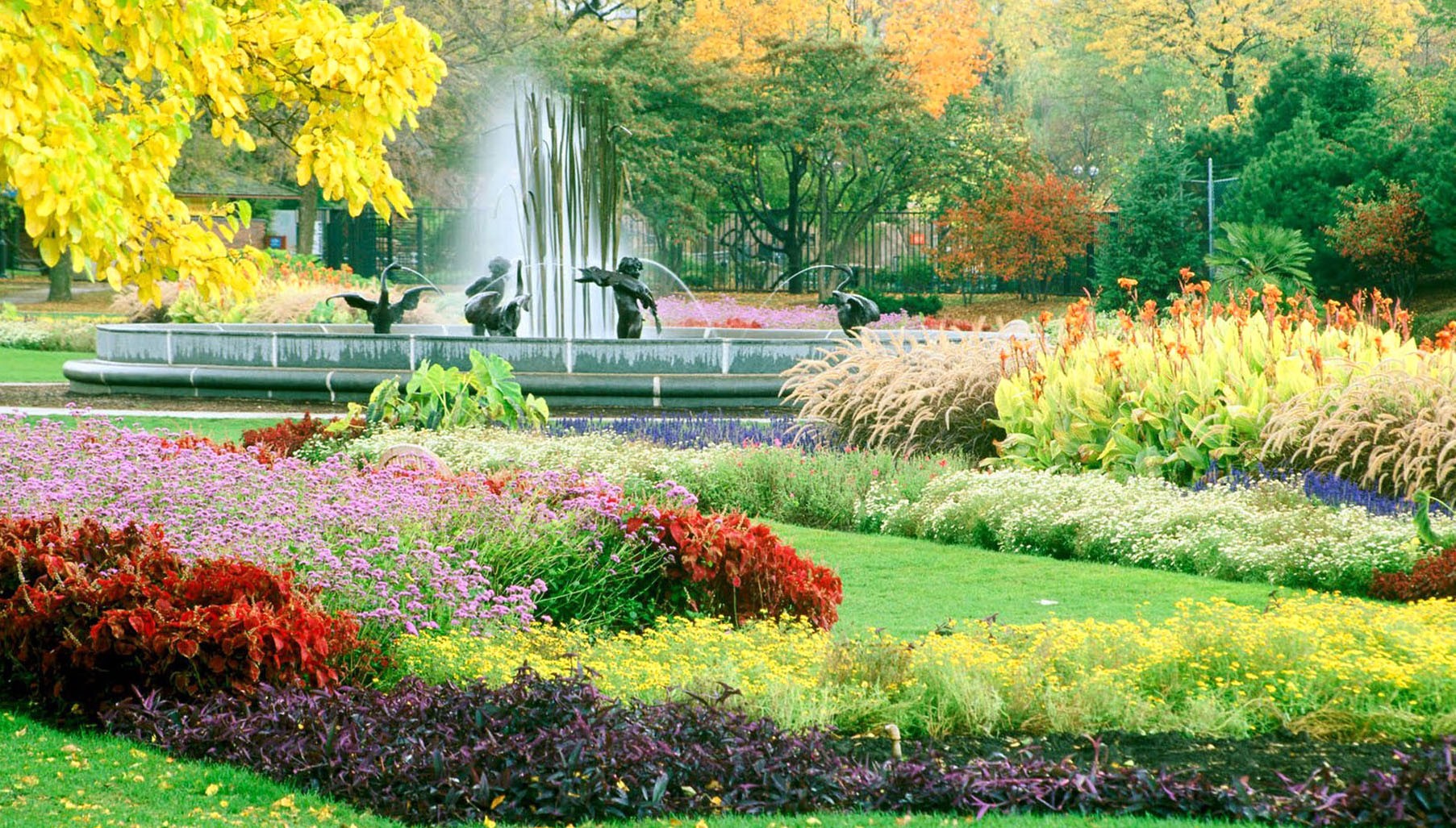 High Resolution Full Hd Wallpapers Garden - 1805x1027 Wallpaper High Resolution Full Hd Wallpapers Garden - 1805x1027 Wallpaper