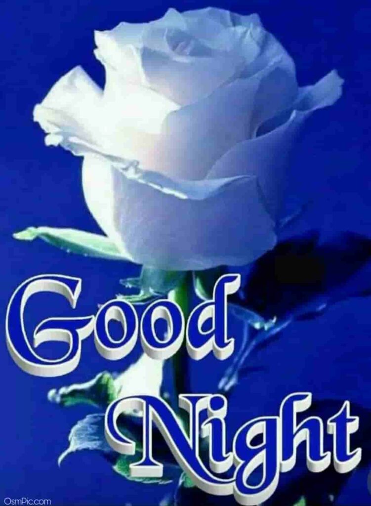Latest Good Night Rose Pic For Whatsapp Dp - Good Night Gif With Blue Roses - HD Wallpaper 