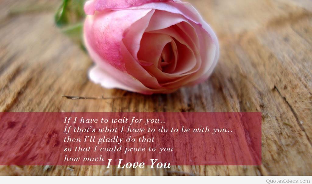 Cute Flower I Love You Hd Wallpaper - Pink Rose - HD Wallpaper 