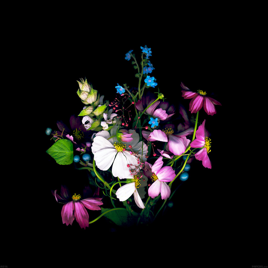 Iphone 4 Wallpapers Flowers - HD Wallpaper 