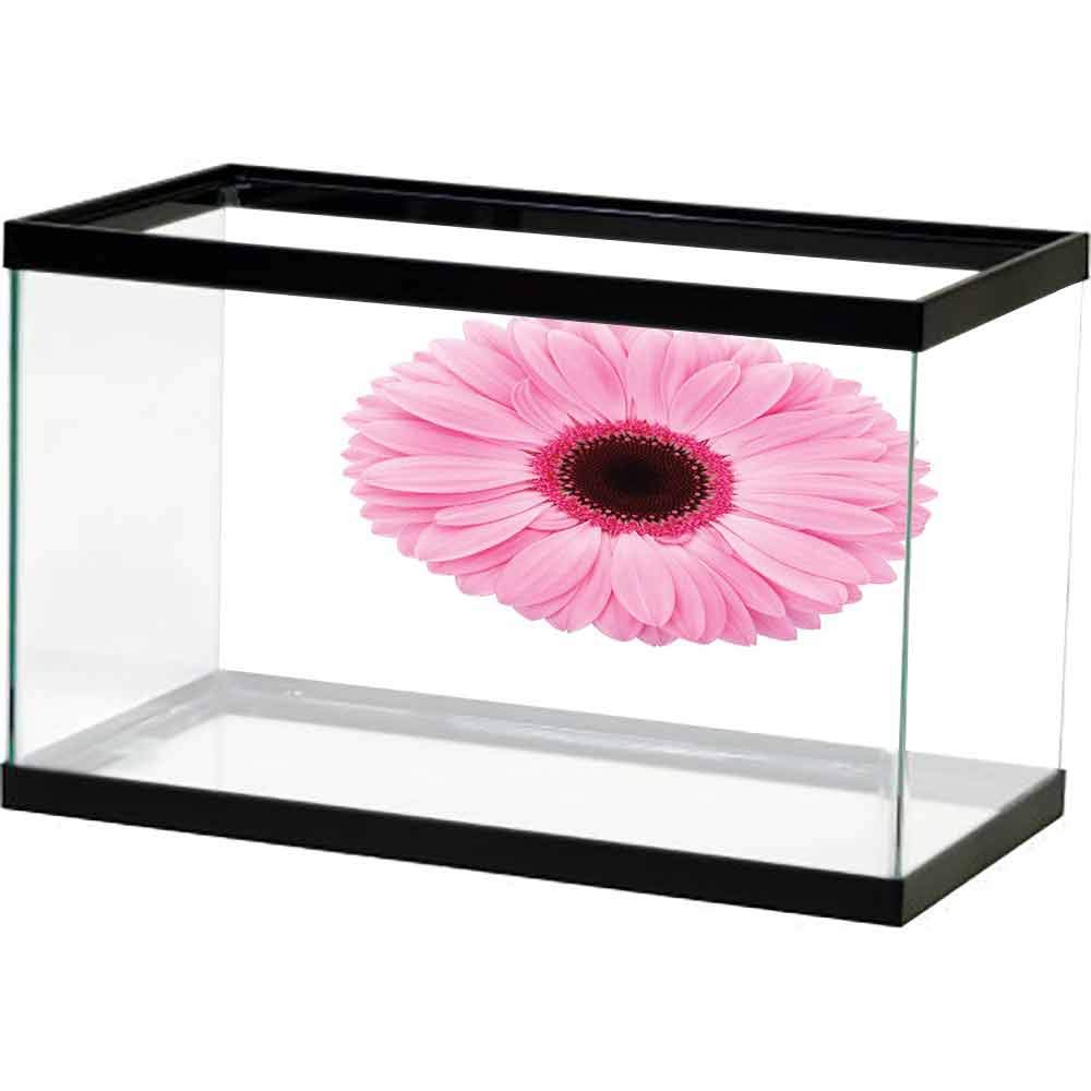 Aquarium - HD Wallpaper 