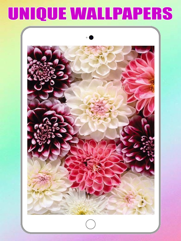 Flower For Scorpio - HD Wallpaper 