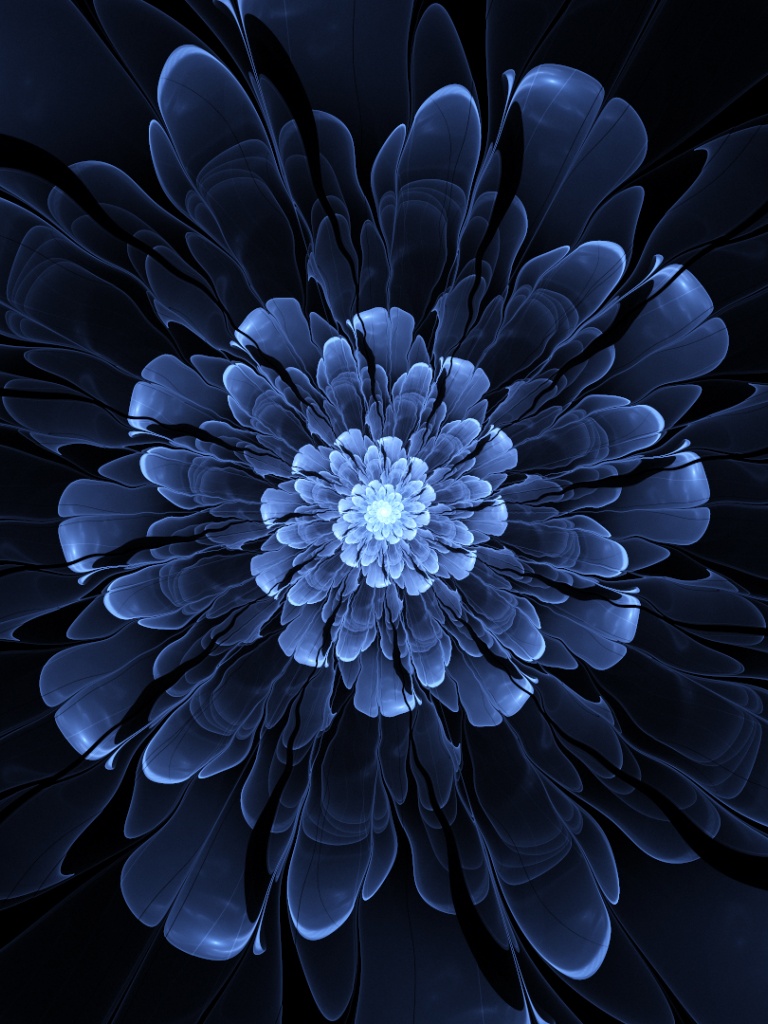 Rainbow Flowers - HD Wallpaper 