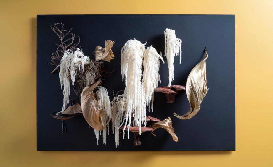 ‘wallflower’ By Hans Tan And Ethimo - Still Life - HD Wallpaper 