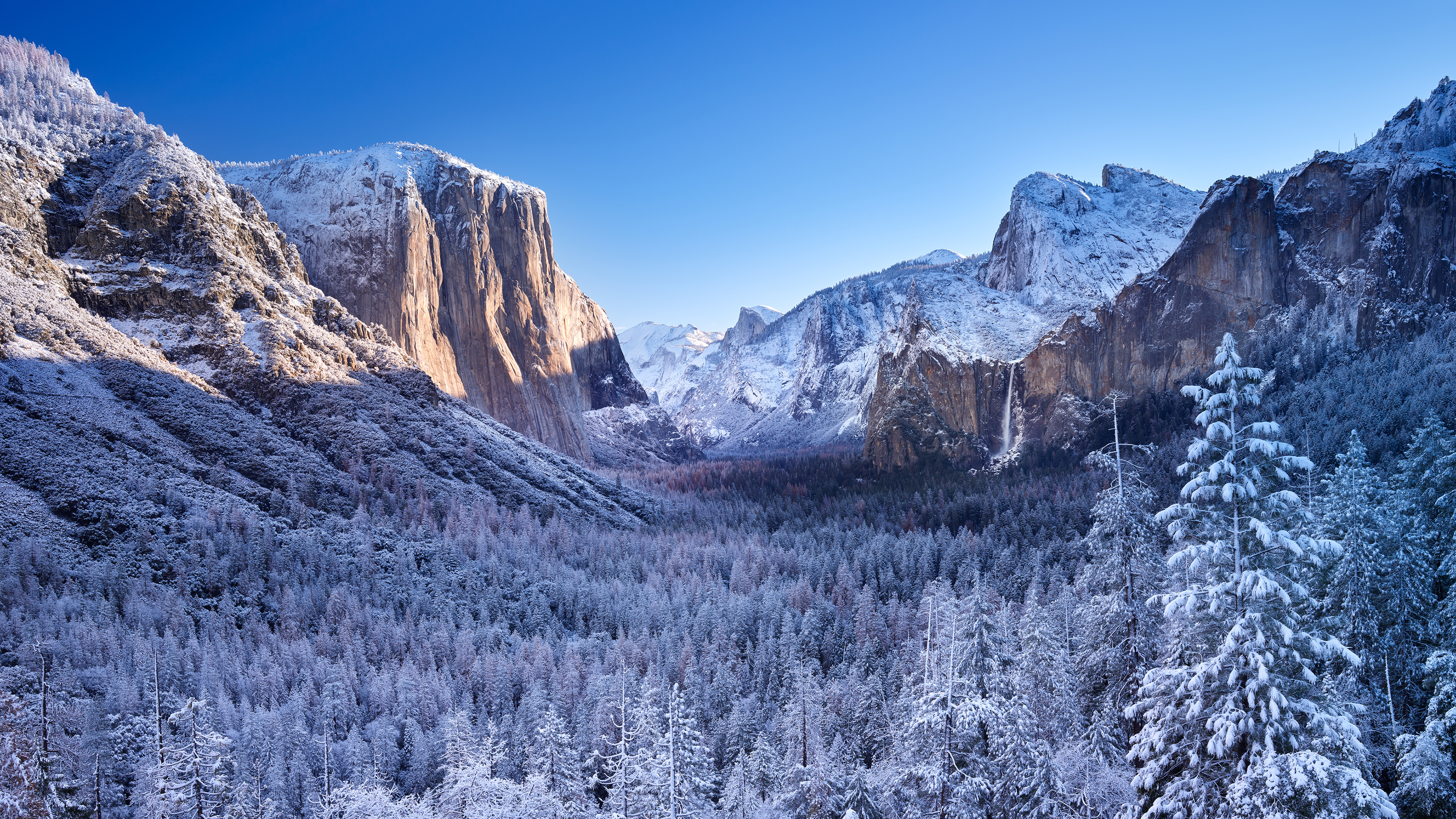 Yosemite National Park 4k - HD Wallpaper 