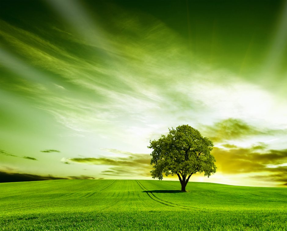 Beautiful Green Nature Wallpaper - Beautiful Nature - 940x759 Wallpaper -  