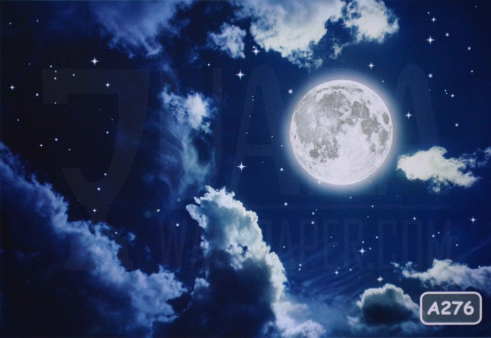 Wallpaper Custom Printing Murah -wallpaper Murah - Full Moon - HD Wallpaper 