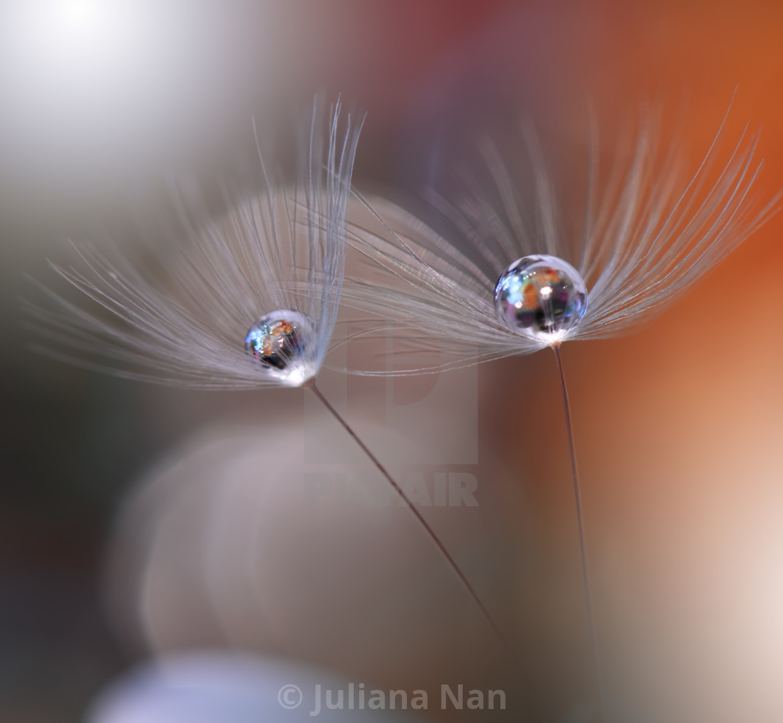 Conceptual Abstract Image - Close-up - HD Wallpaper 