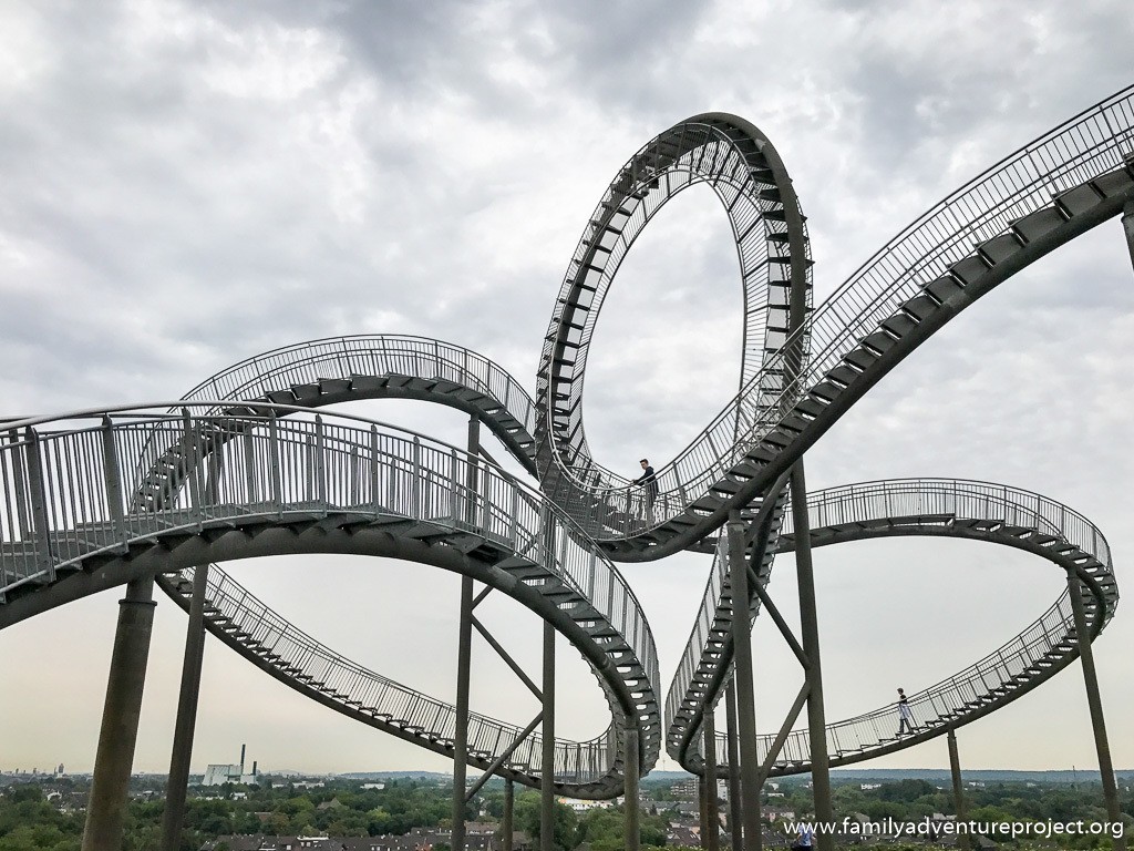 Tiger And Turtle Walking Coaster - HD Wallpaper 