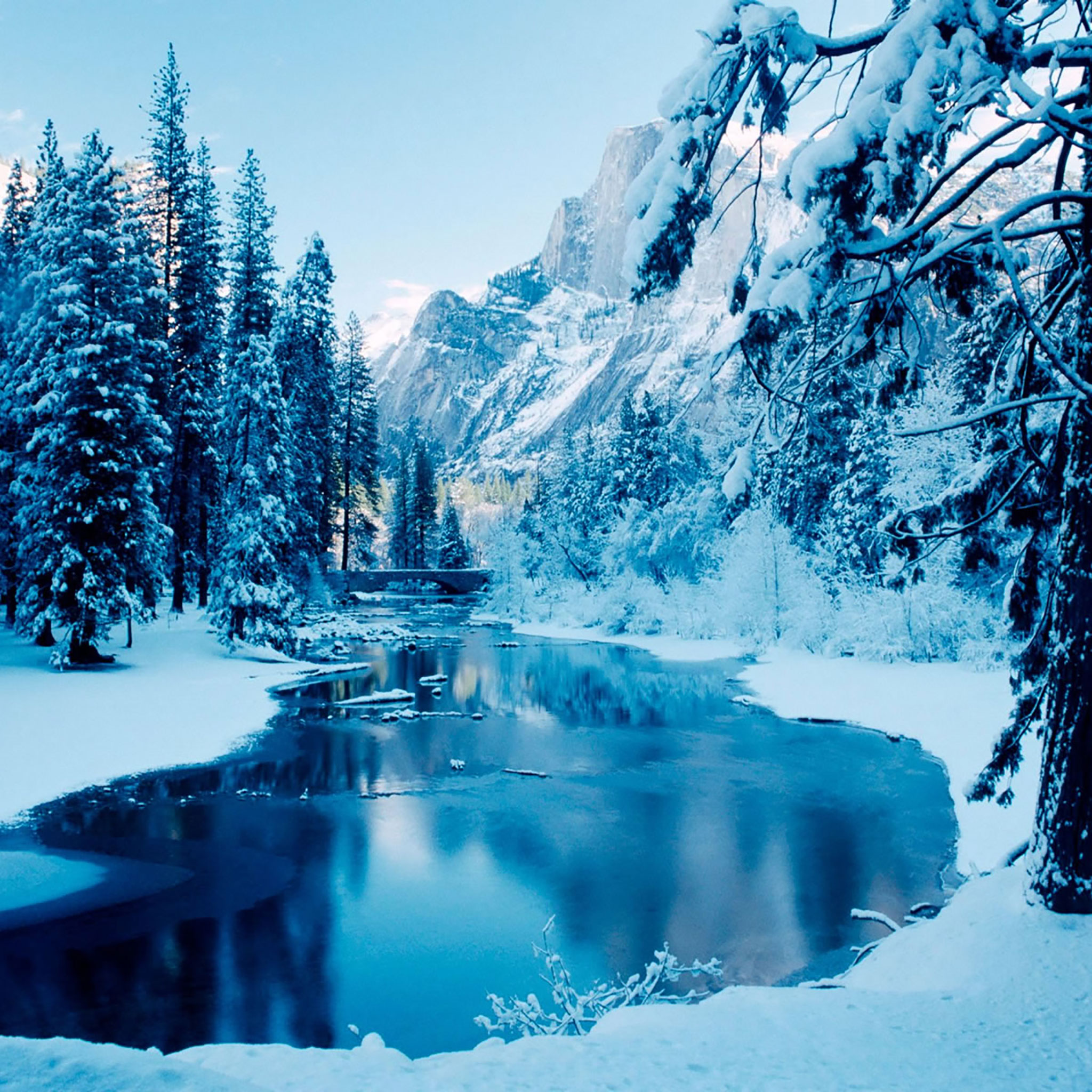 Winter Landscape High Resolution - HD Wallpaper 