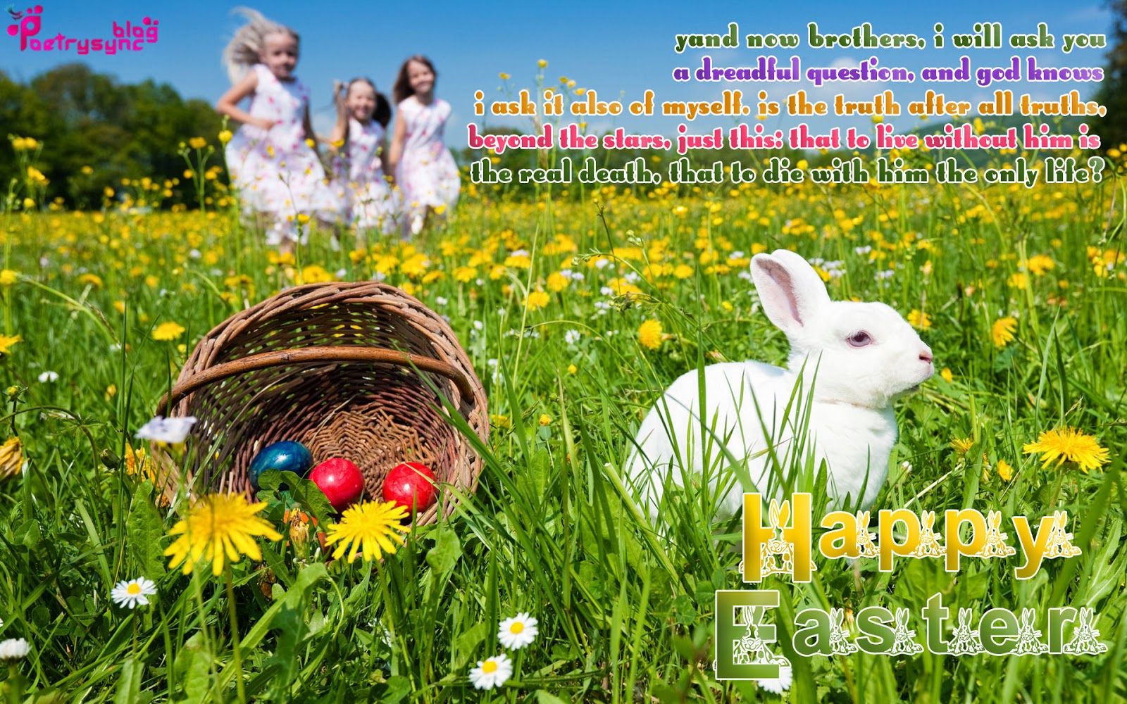 Easter Egg Hunt - HD Wallpaper 