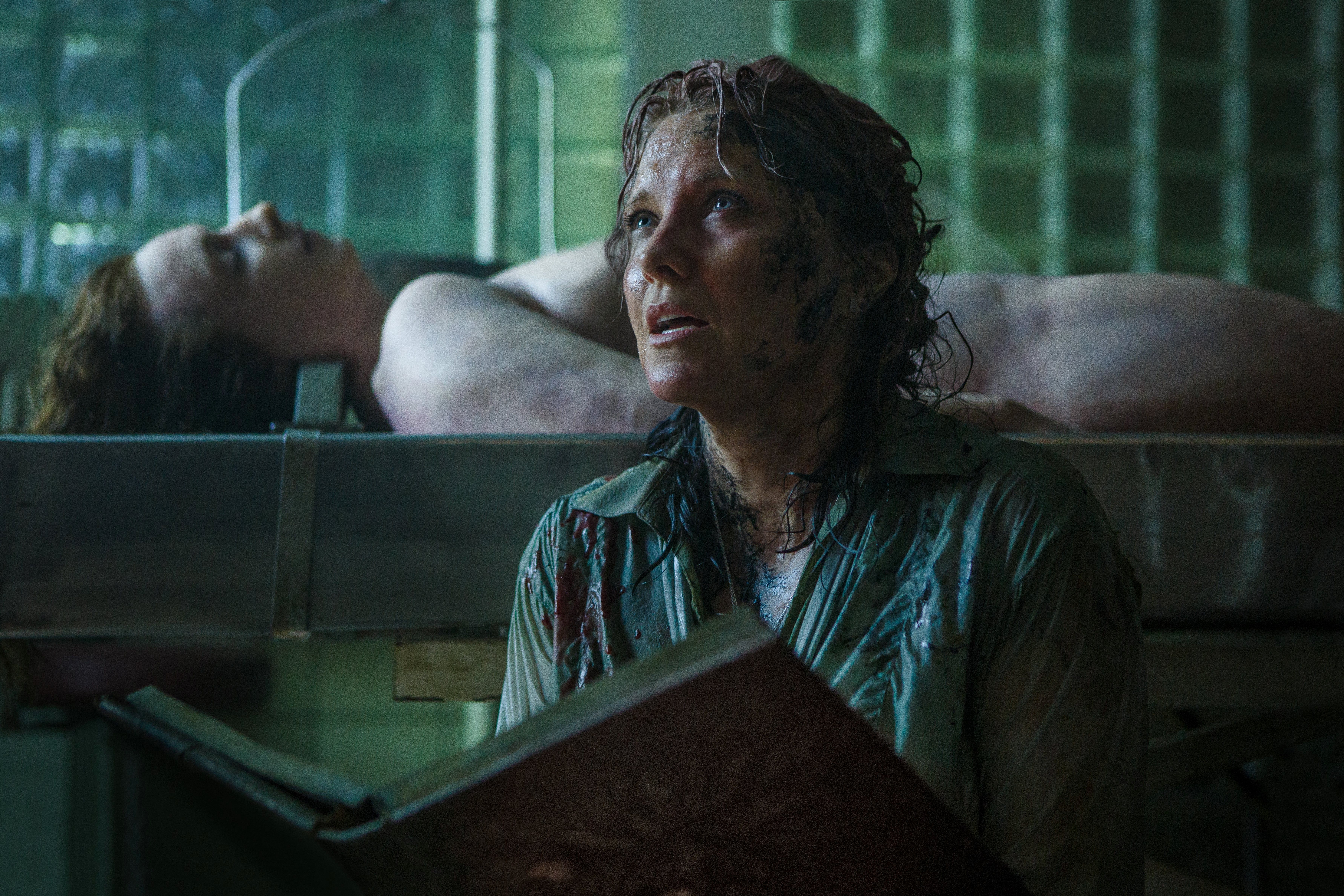 Human - HD Wallpaper 