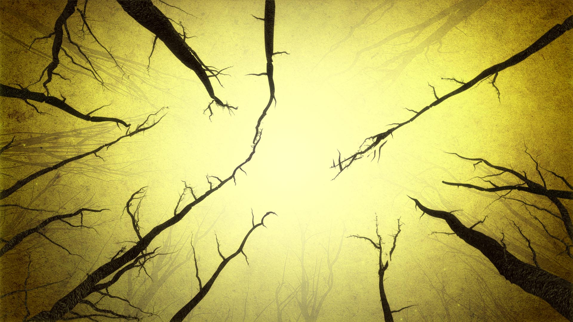 Darkness - HD Wallpaper 