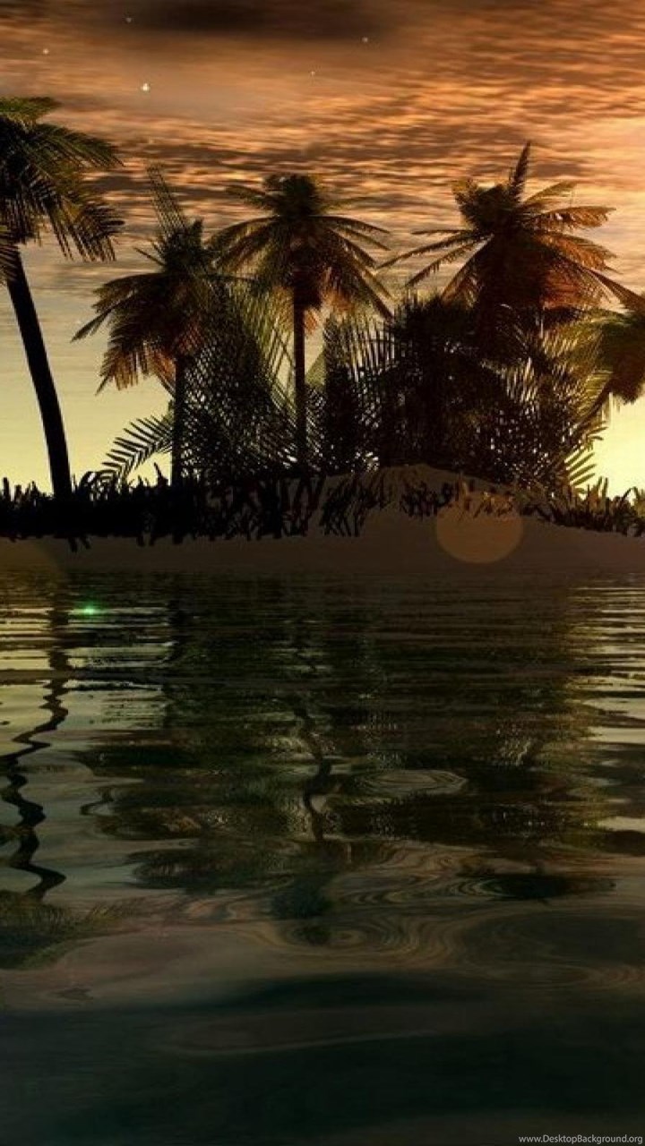 Wallpaper - HD Wallpaper 