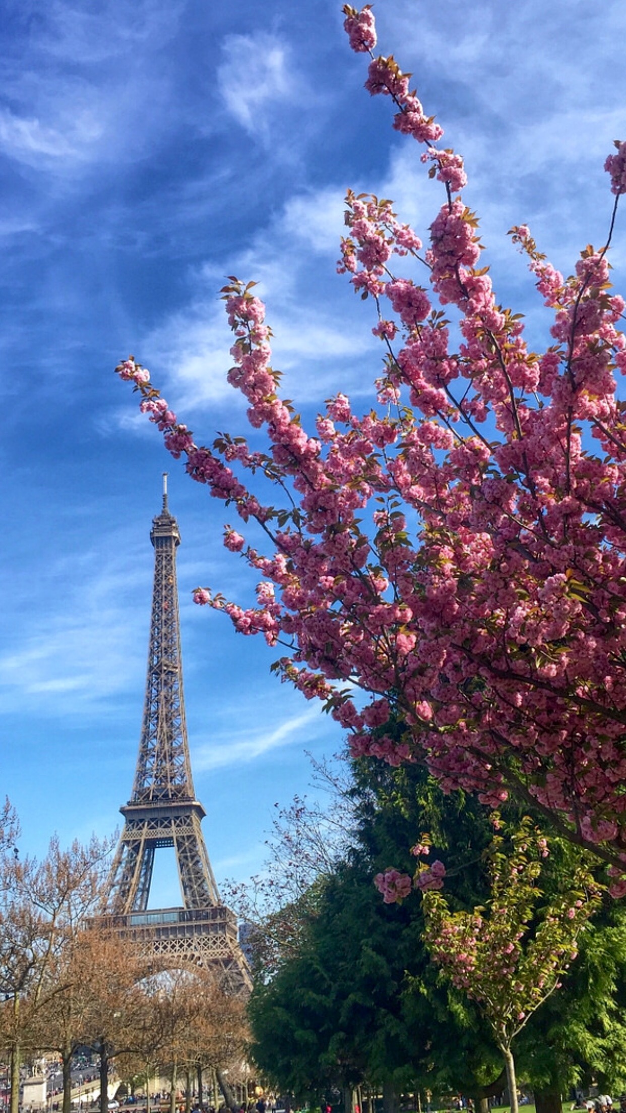 Img - Tokyo Tower - HD Wallpaper 