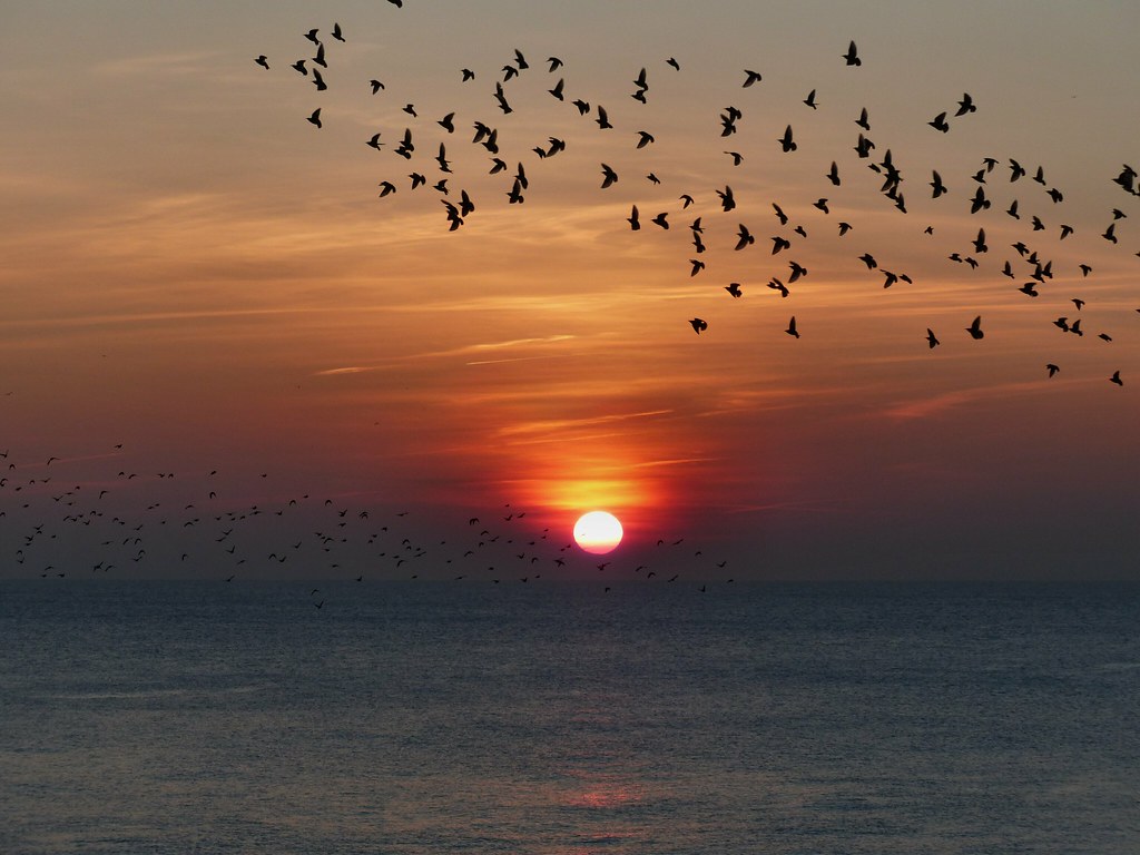 Sunset - HD Wallpaper 