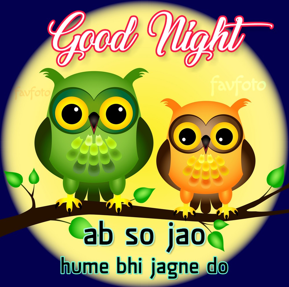 गुड नाईट इमेज - Owls Cartoon Prey - HD Wallpaper 