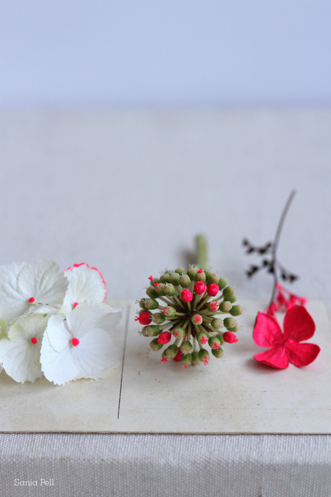 Sania Name Flower - 680x1020 Wallpaper Sania Name Flower - 680x1020 Wallpaper