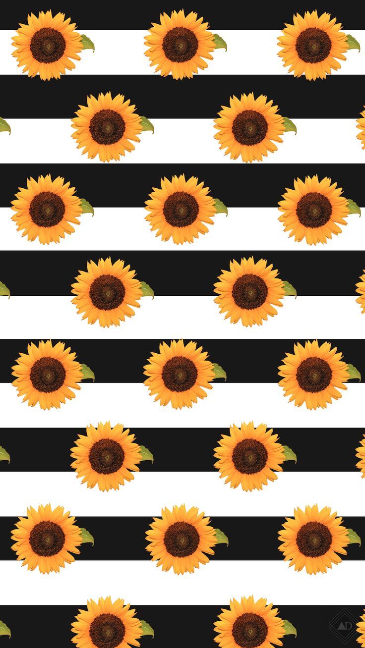 Papéis De Parede Para Celular - HD Wallpaper 