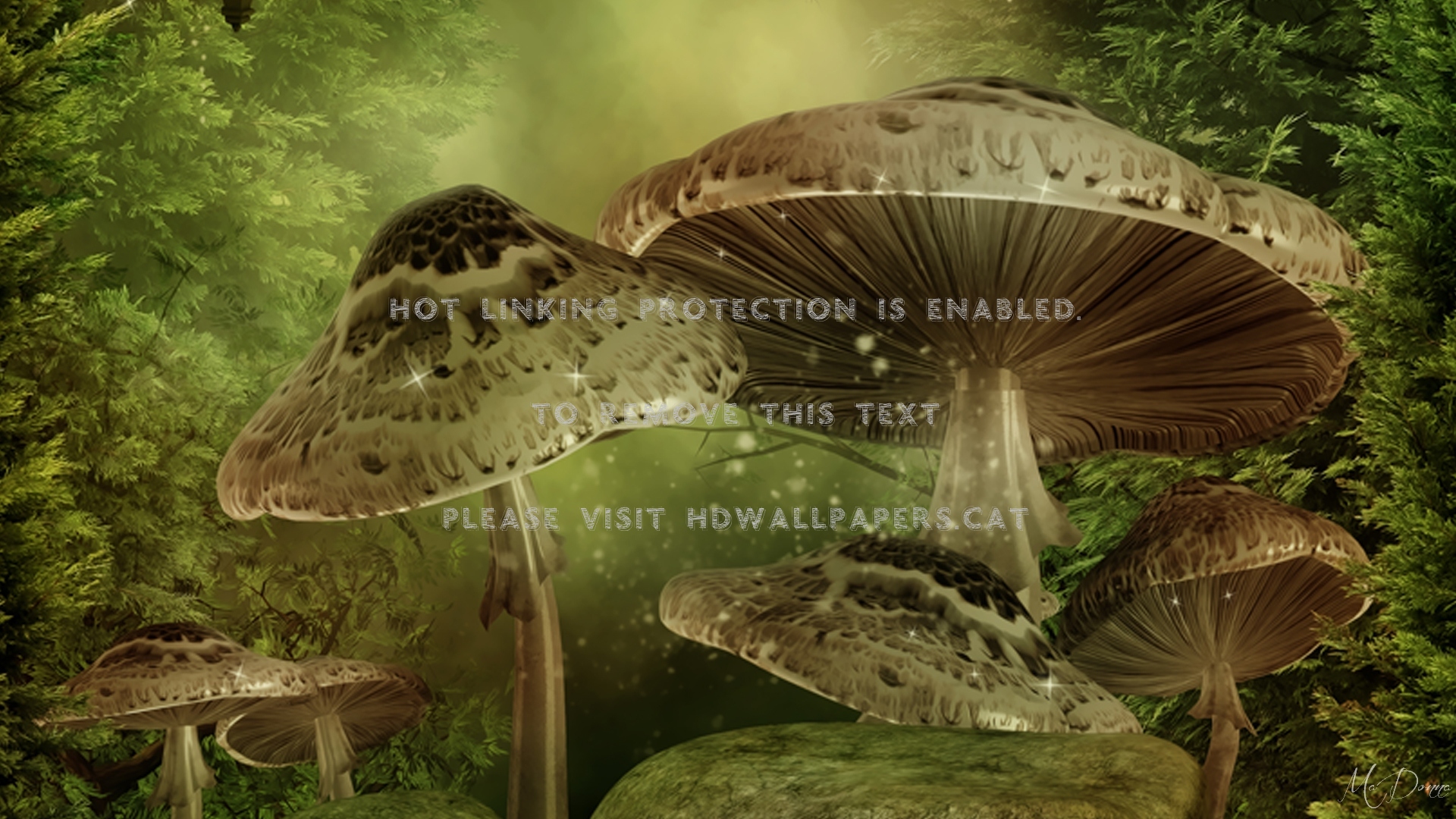 Fruit Of The Earth Grass Fungi Fungus Green - Fantasy Magical Fairy Garden - HD Wallpaper 