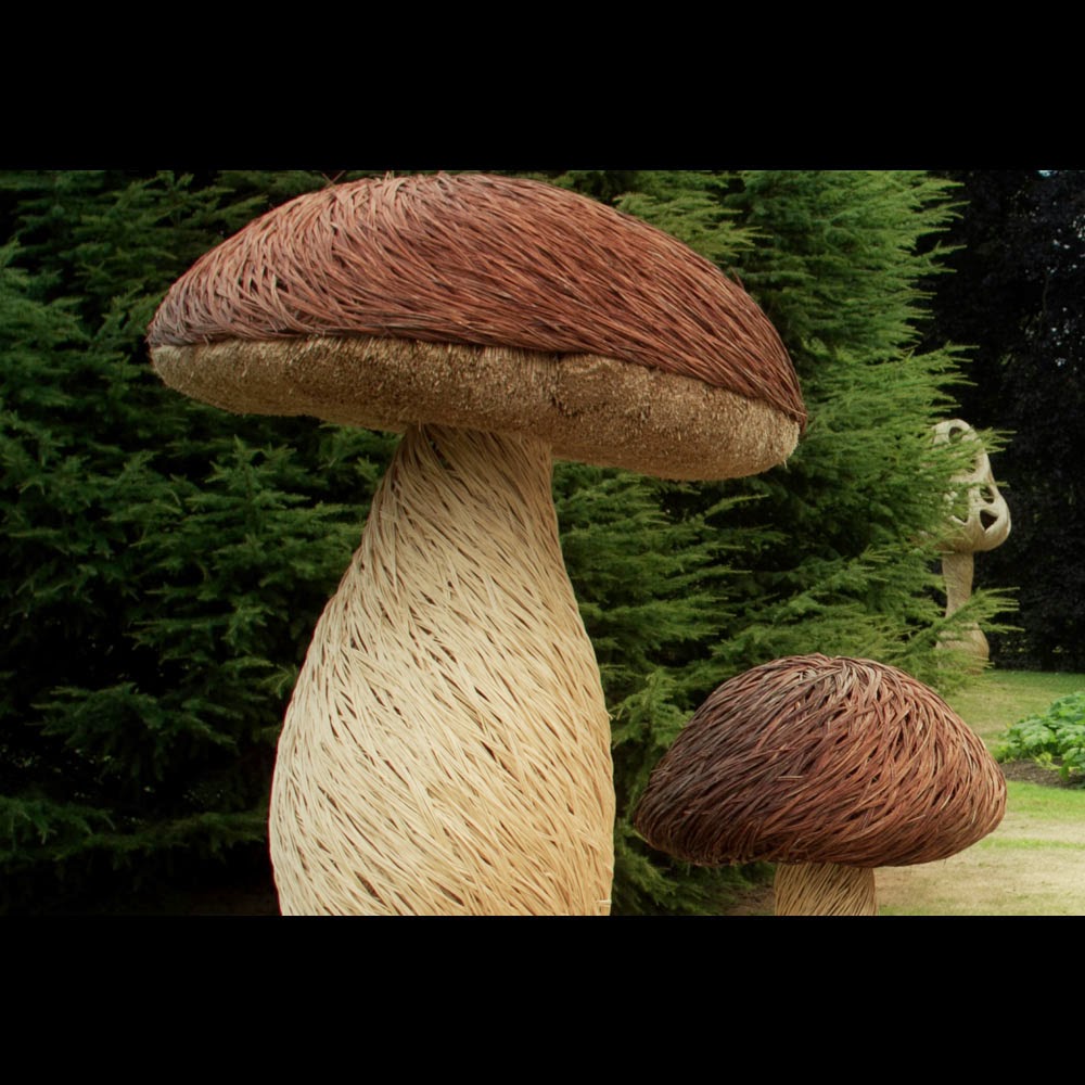 Tom Hare Fungi Sculpture Fairy Ring Giant Mushroom - Shiitake - HD Wallpaper 