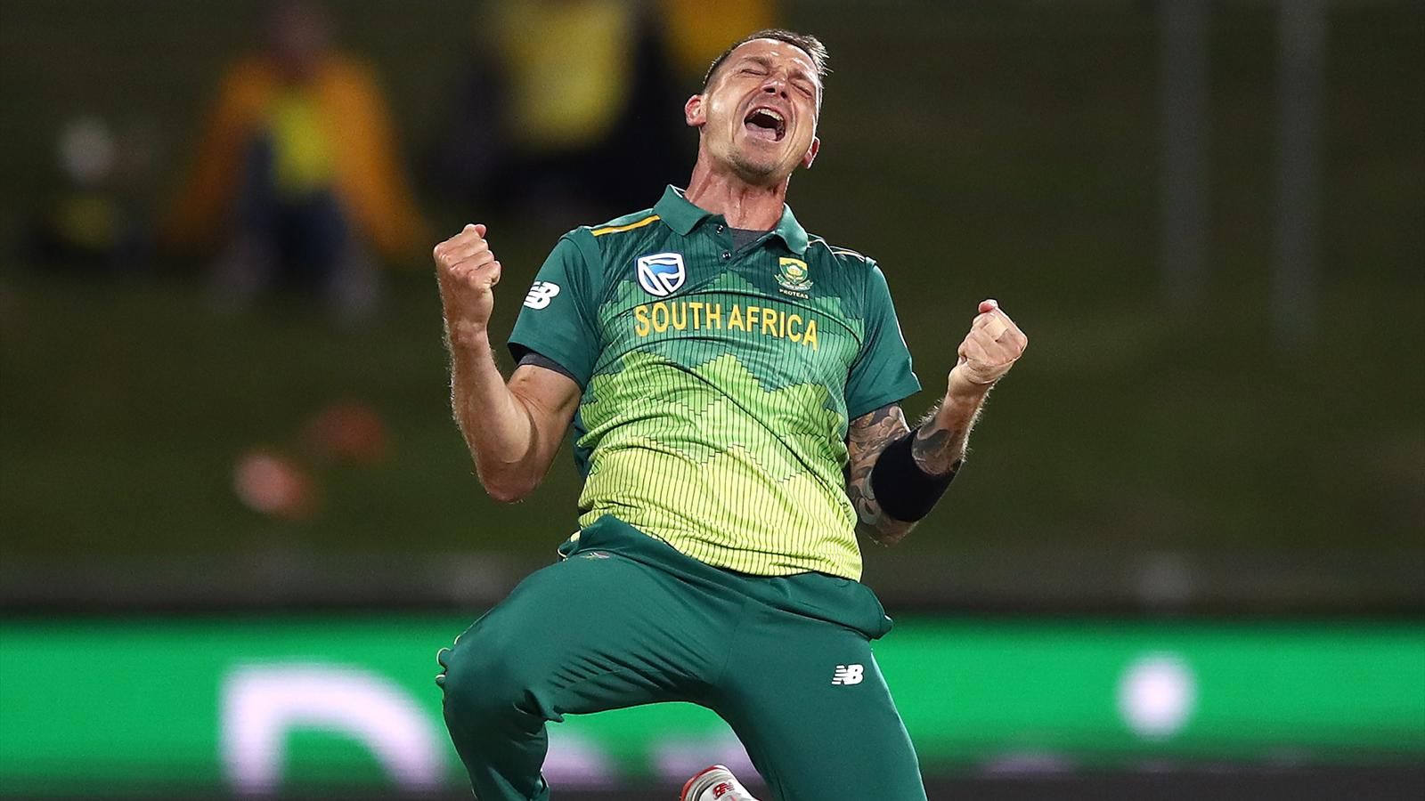 Dale Steyn 2019 World Cup - HD Wallpaper 