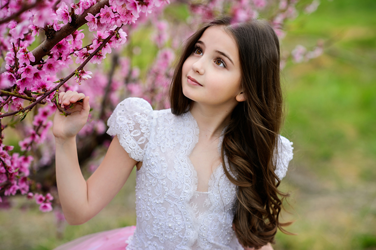 Girl Looking At Flower - HD Wallpaper 