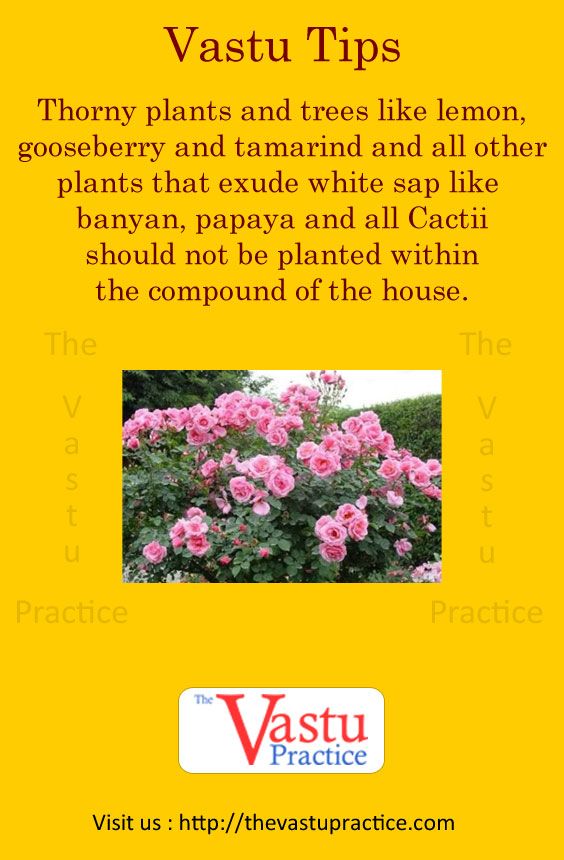 Vastu For Sink In Kitchen - HD Wallpaper 