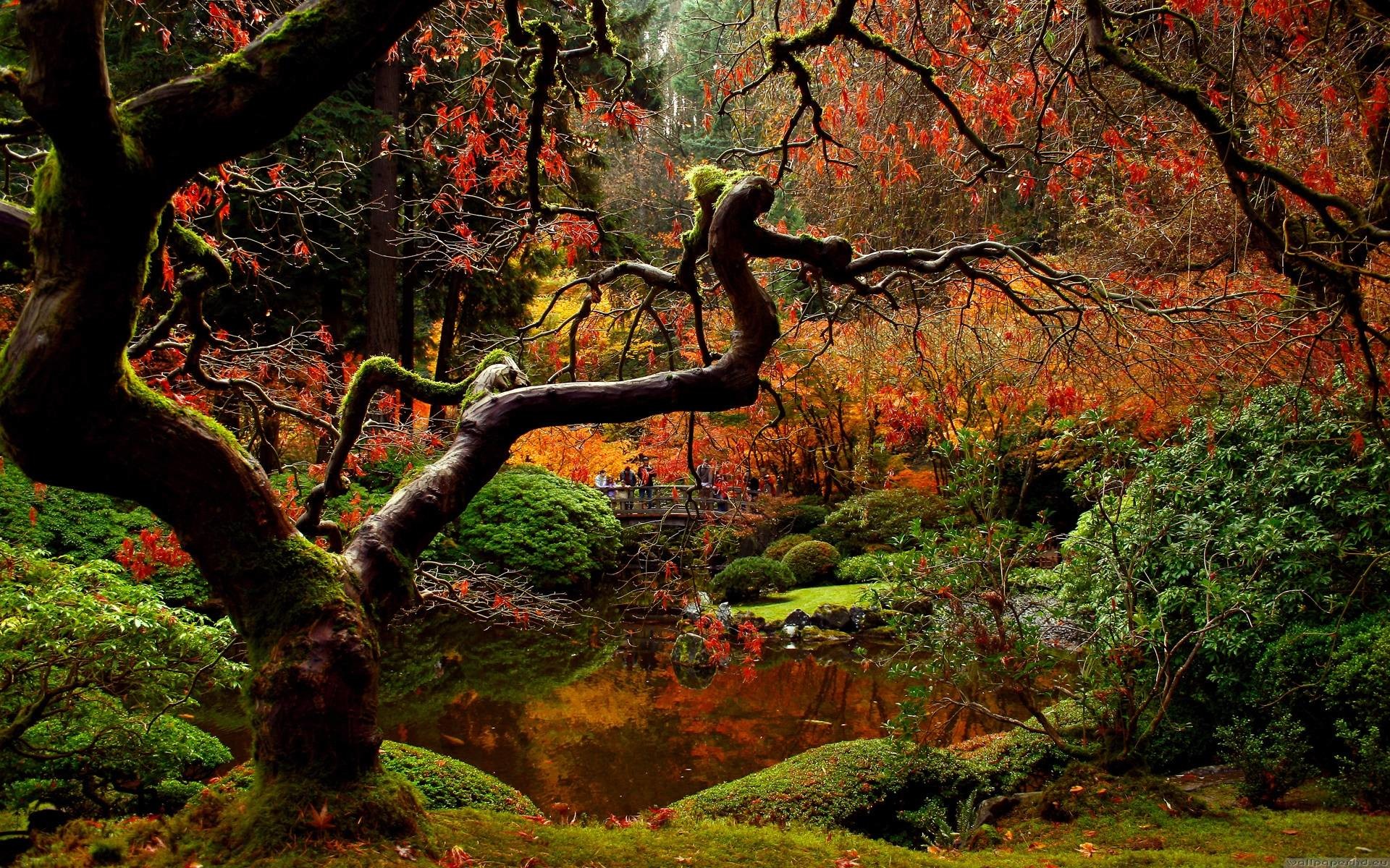 Japanese Garden Wallpapers - Japanese Garden Wallpaper Full Hd - HD Wallpaper 