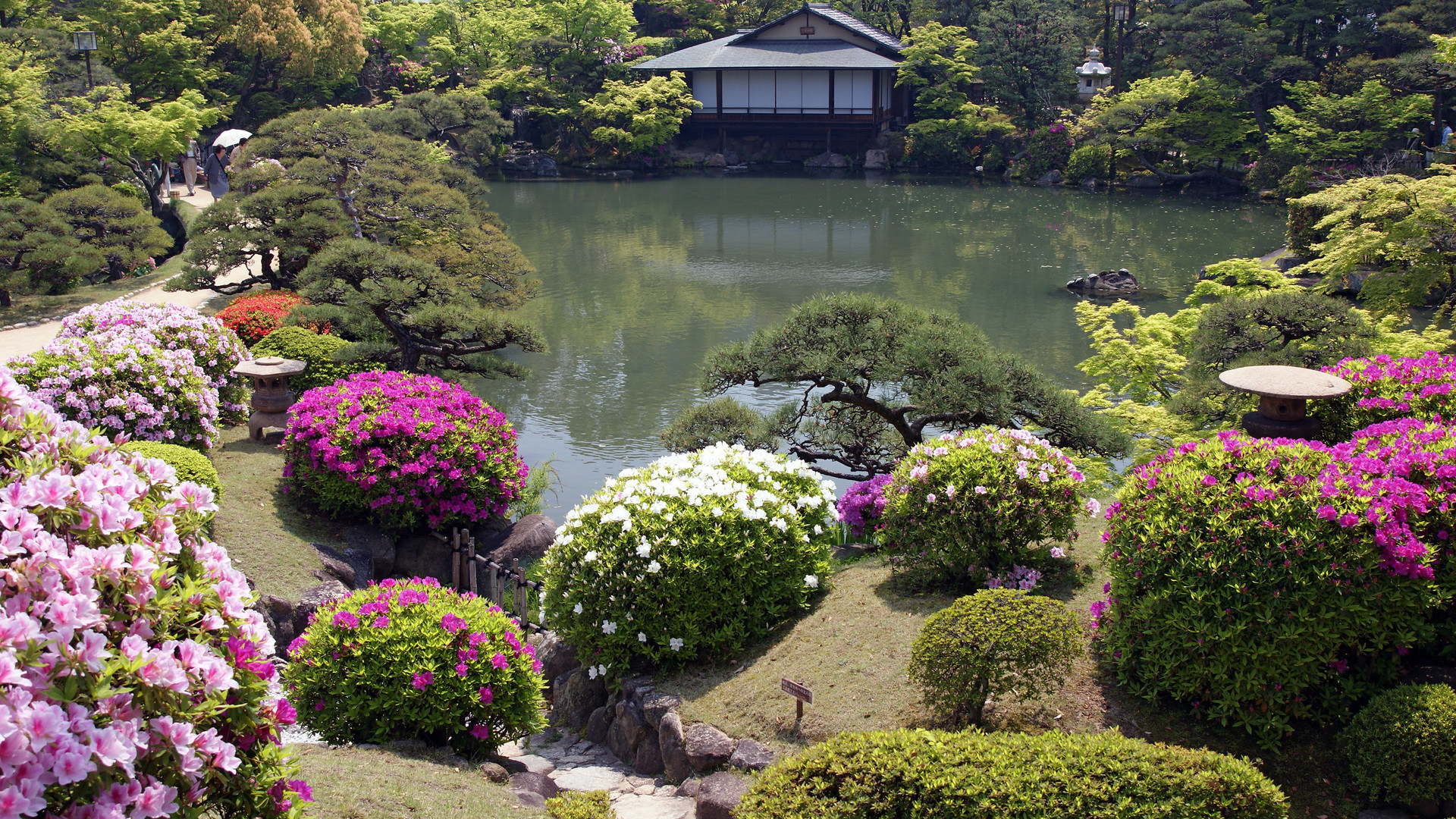 Japanese Garden Wallpaper, Hd, Flowers, A Japanese - Японский Сад Обои Рабочий Стол - HD Wallpaper 
