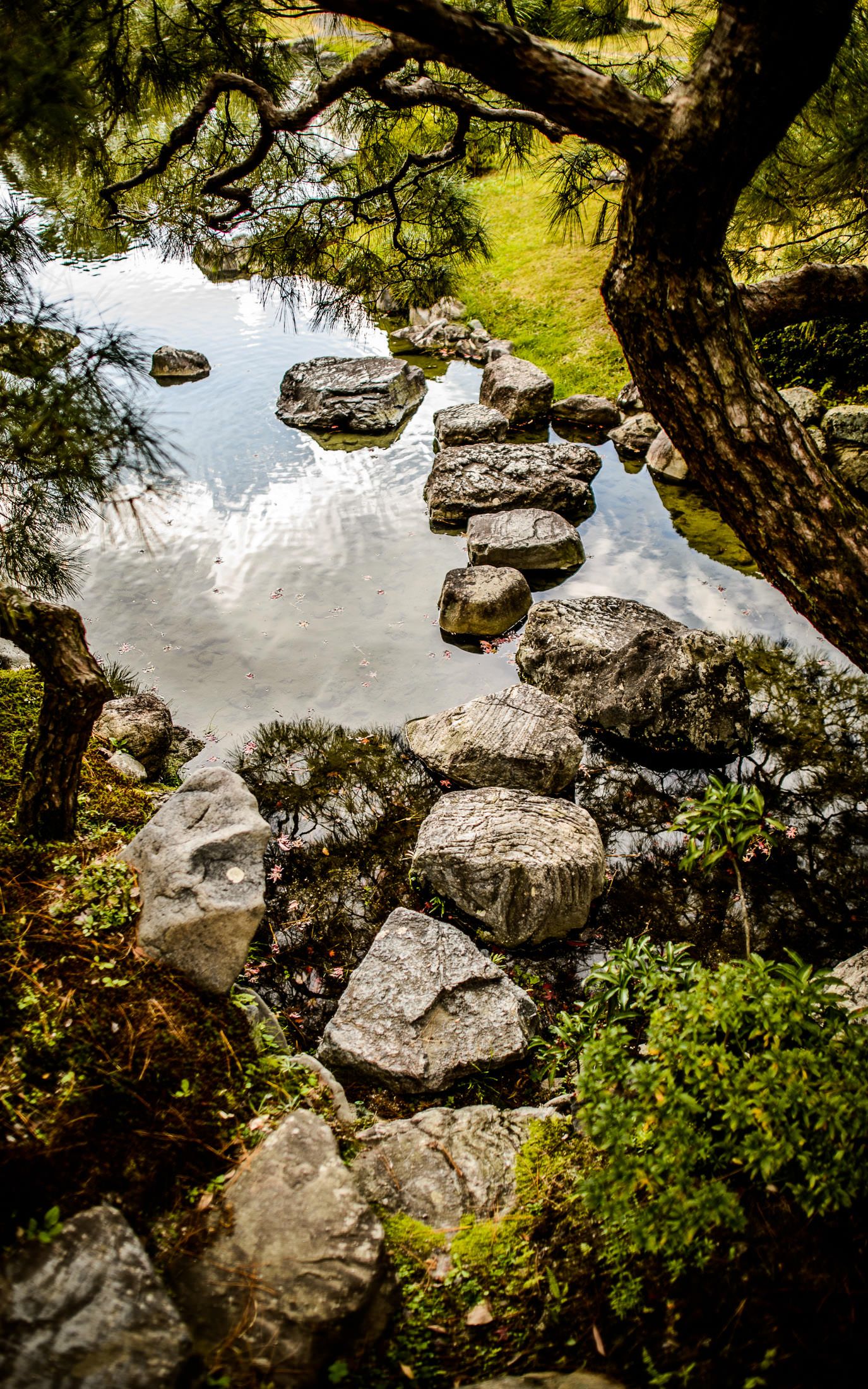 Картинка 1600 2560 - HD Wallpaper 